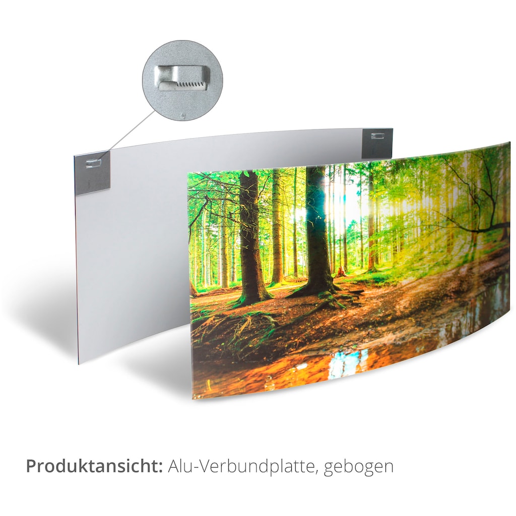 Artland Wandbild »Wald mit Bach«, Wald, (1 St.)