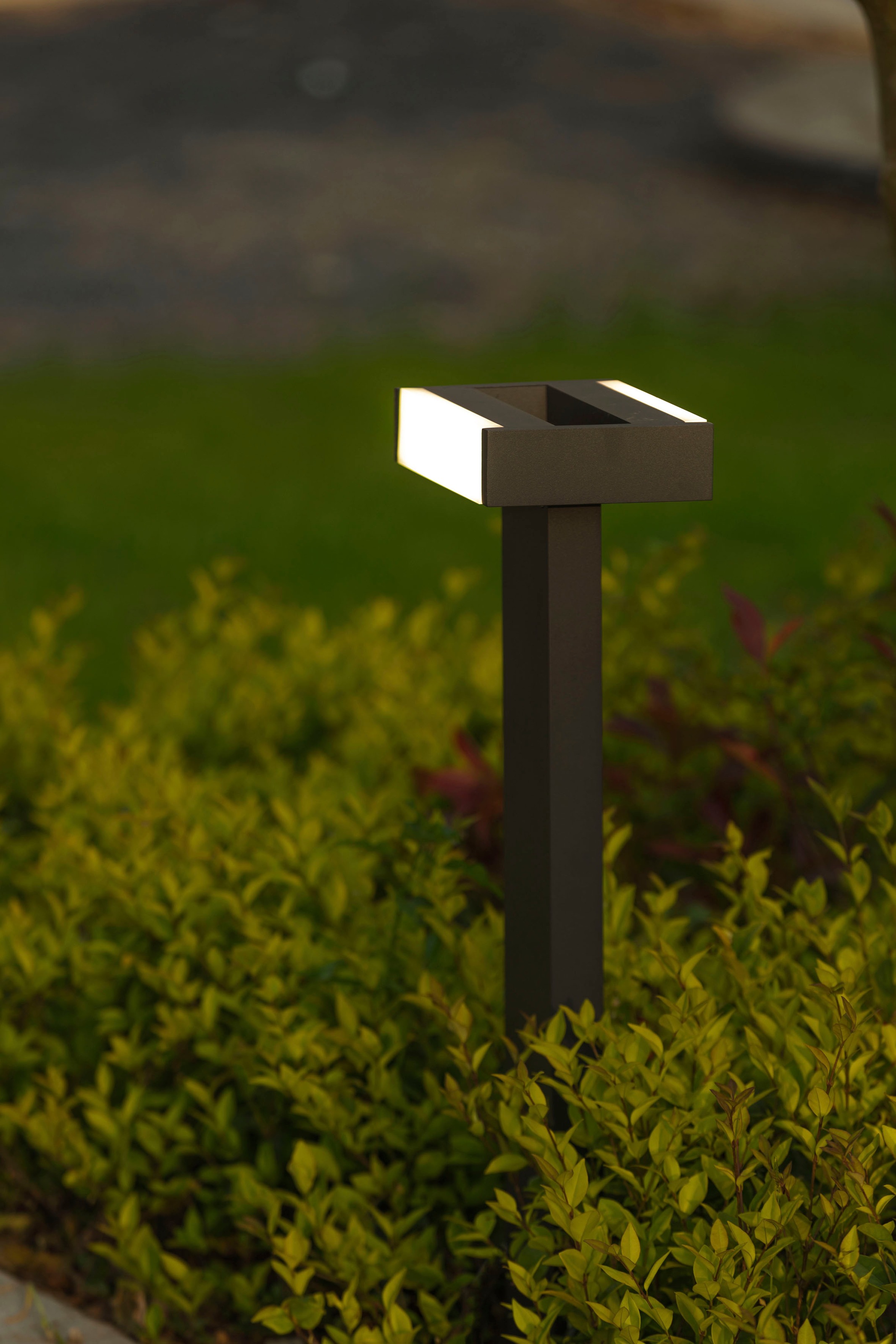 LUTEC LED Außen-Wandleuchte »CONROY«, Leuchtmittel LED-Modul | LED fest integriert, verstellbar