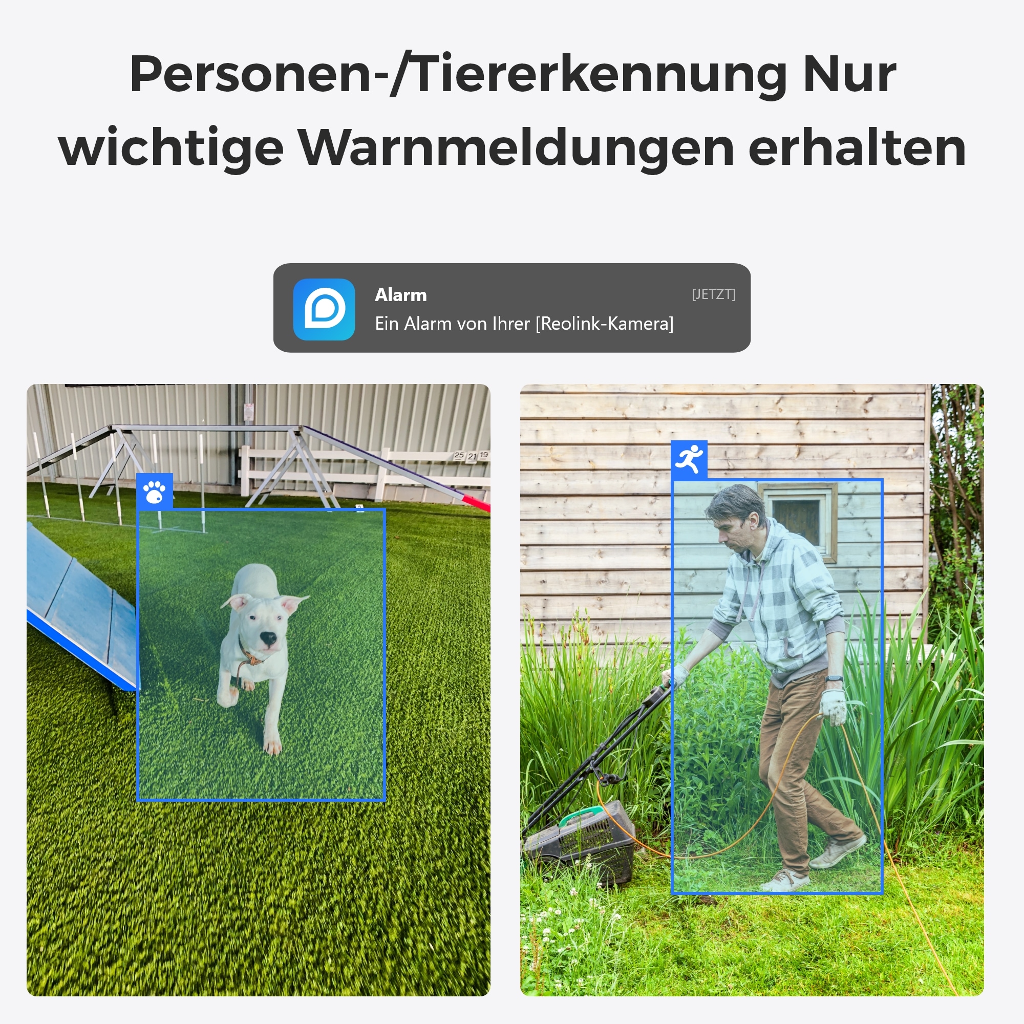 Reolink Überwachungskamera »E Series E330 (5MP)«, Erfolgsmodel mit höherer Auflösung