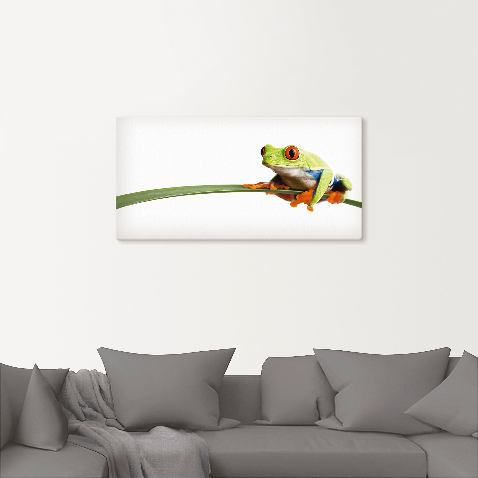 Artland Wandbild »Frosch auf einem Blatt«, Wassertiere, (1 St.), als Alubild, Outdoorbild, Leinwandbild, Poster, Wandaufkleber