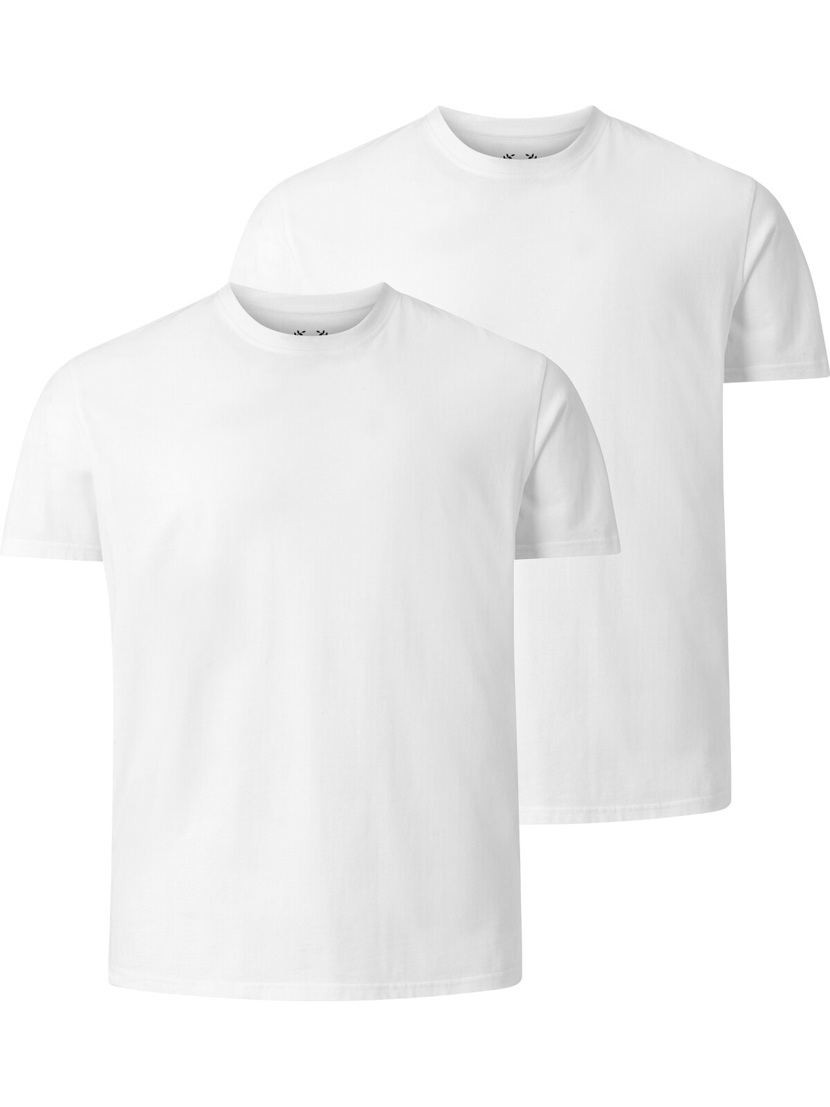 Charles Colby Rundhalsshirt »Doppelpack T-Shirt EARL BOON«, (2 tlg.), leger und schlicht (2er-Pack)