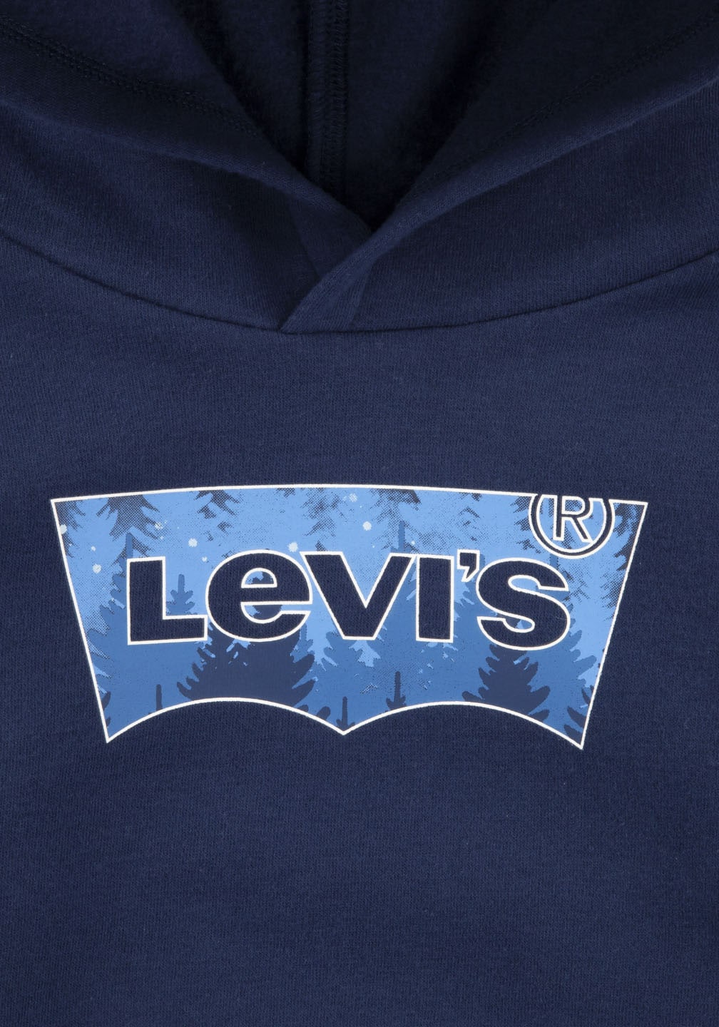 Levi's® Kids Hoodie »BATWING HOODIE«, for BOYS