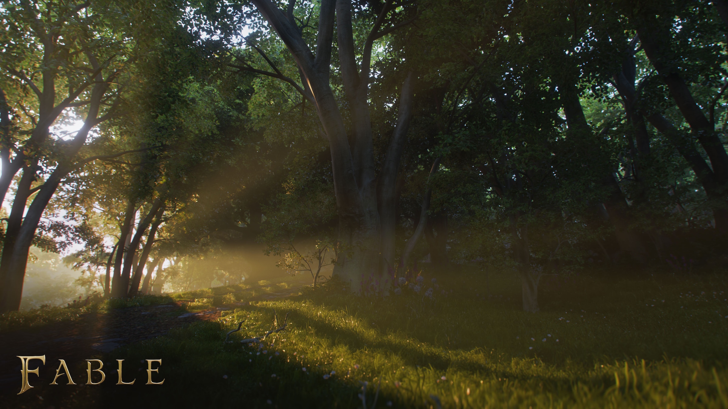 Xbox Spielesoftware »Fable« Xbox Series X