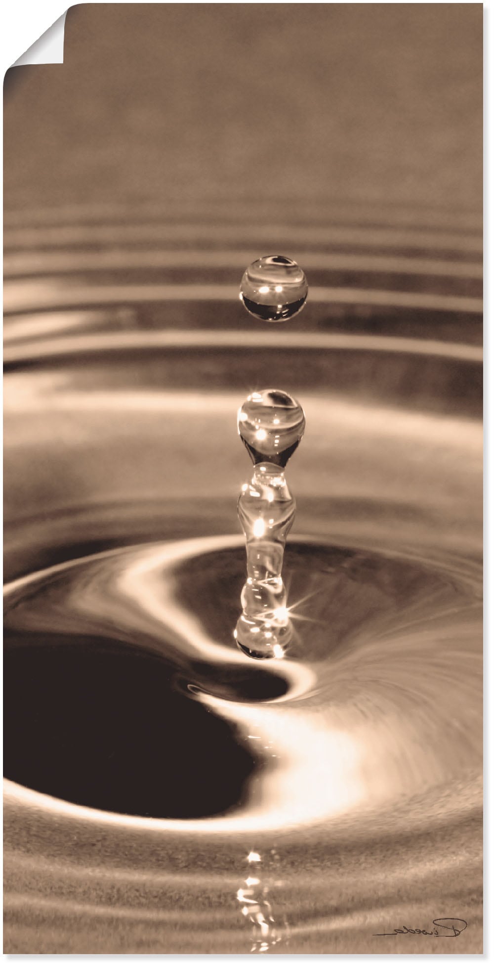 Artland Wandbild »Die Elemente: Alubild, Zen versch. OTTO Wasser«, bei als Größen (1 online Leinwandbild, oder Poster St.), in Wandaufkleber Bilder
