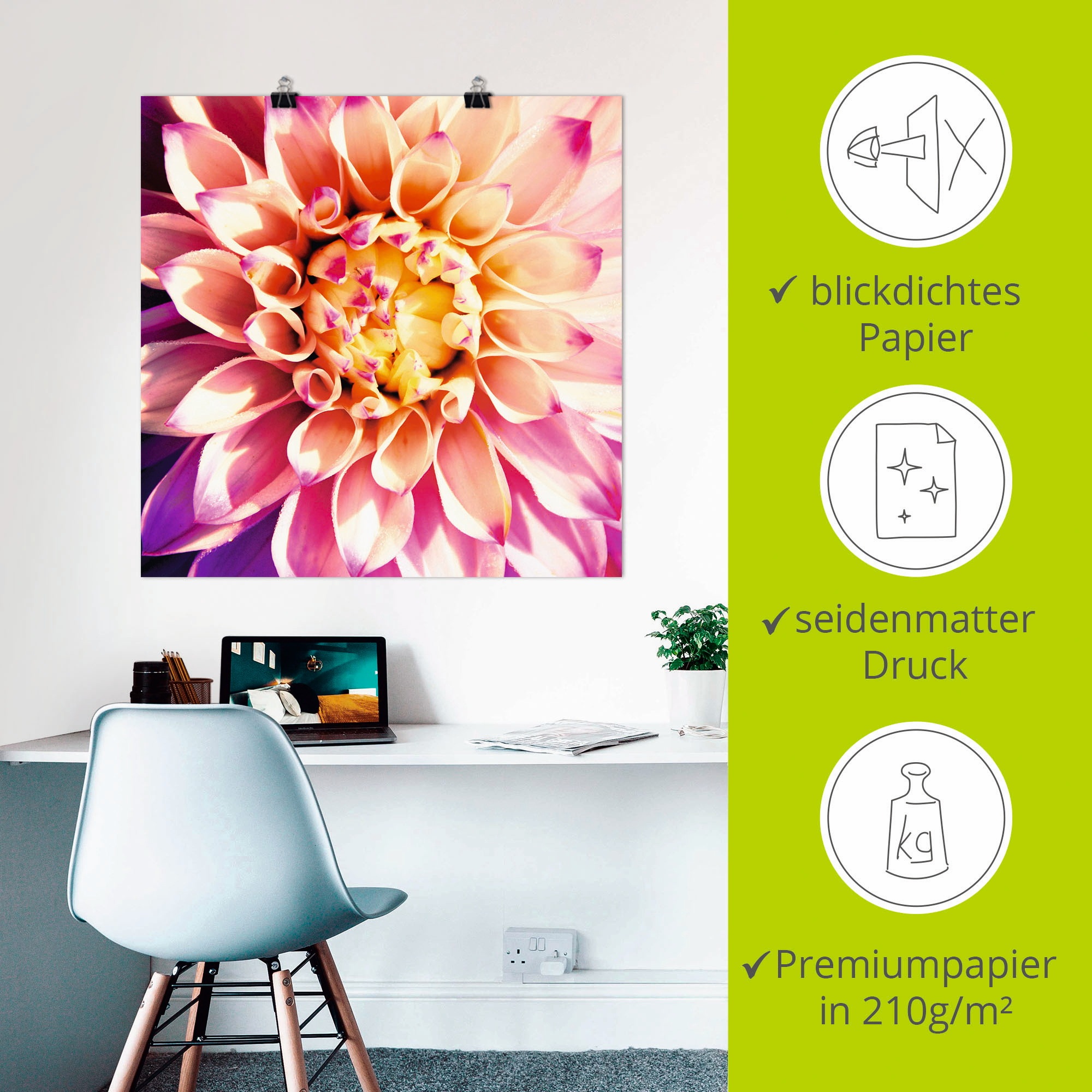 Artland Wandbild »Dahlie«, Blumen, (1 St.), als Leinwandbild, Poster in verschied. Größen