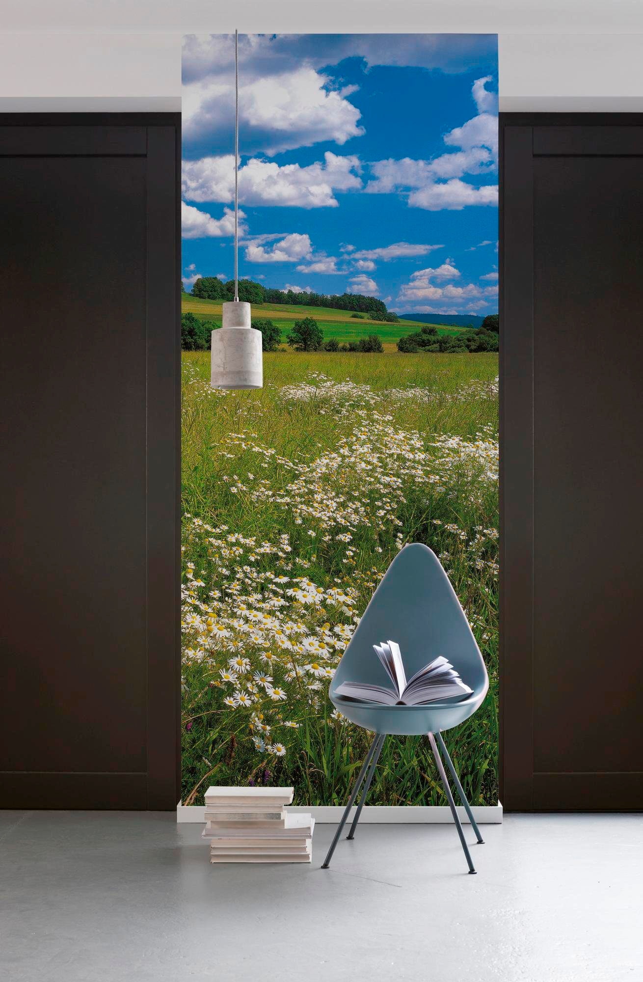 Komar Vliestapete »Digitaldruck Vlies -  Meadow - Größe 100 x 280 cm« bedruckt glatt Wohnzimmer, Schlafzimmer