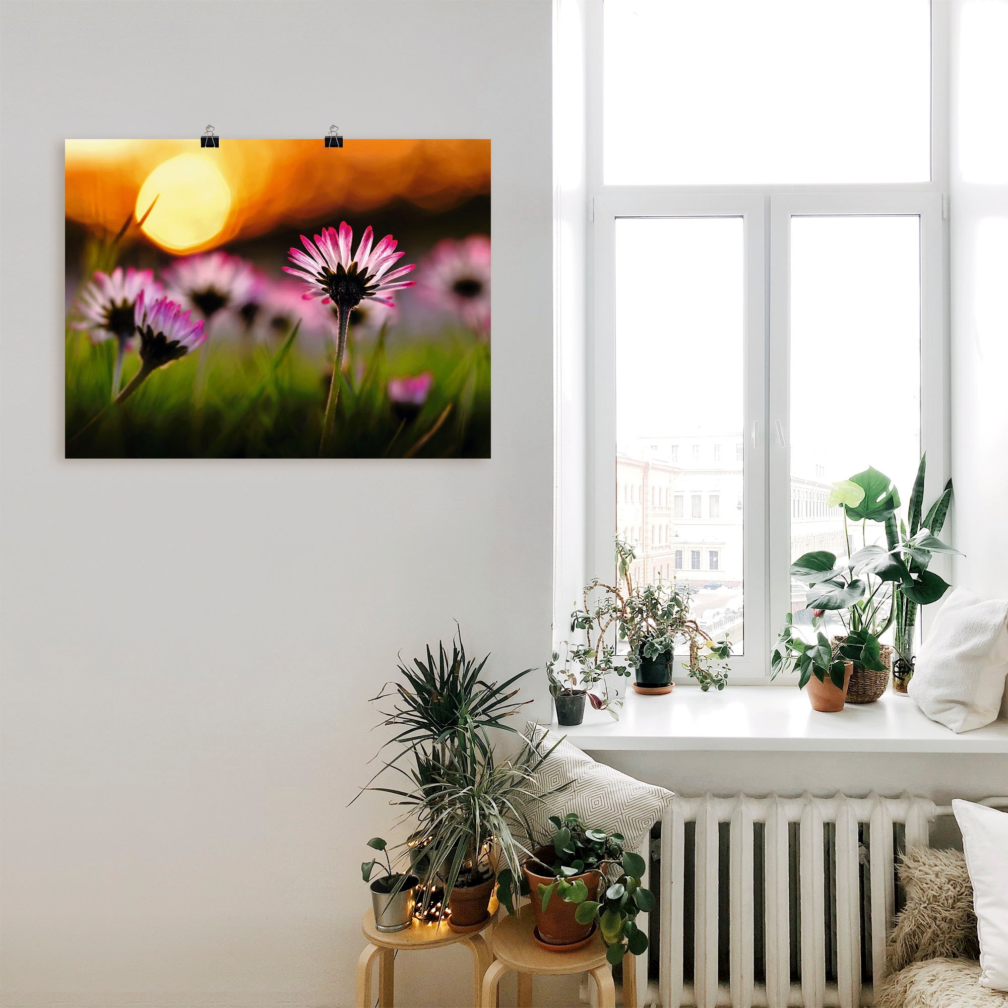 Blumenwiese, im Größen oder Wandaufkleber Alubild, Poster Shop Sonnenuntergang«, Leinwandbild, versch. OTTO Online in Wandbild »Gänseblümchen im als (1 St.), Artland