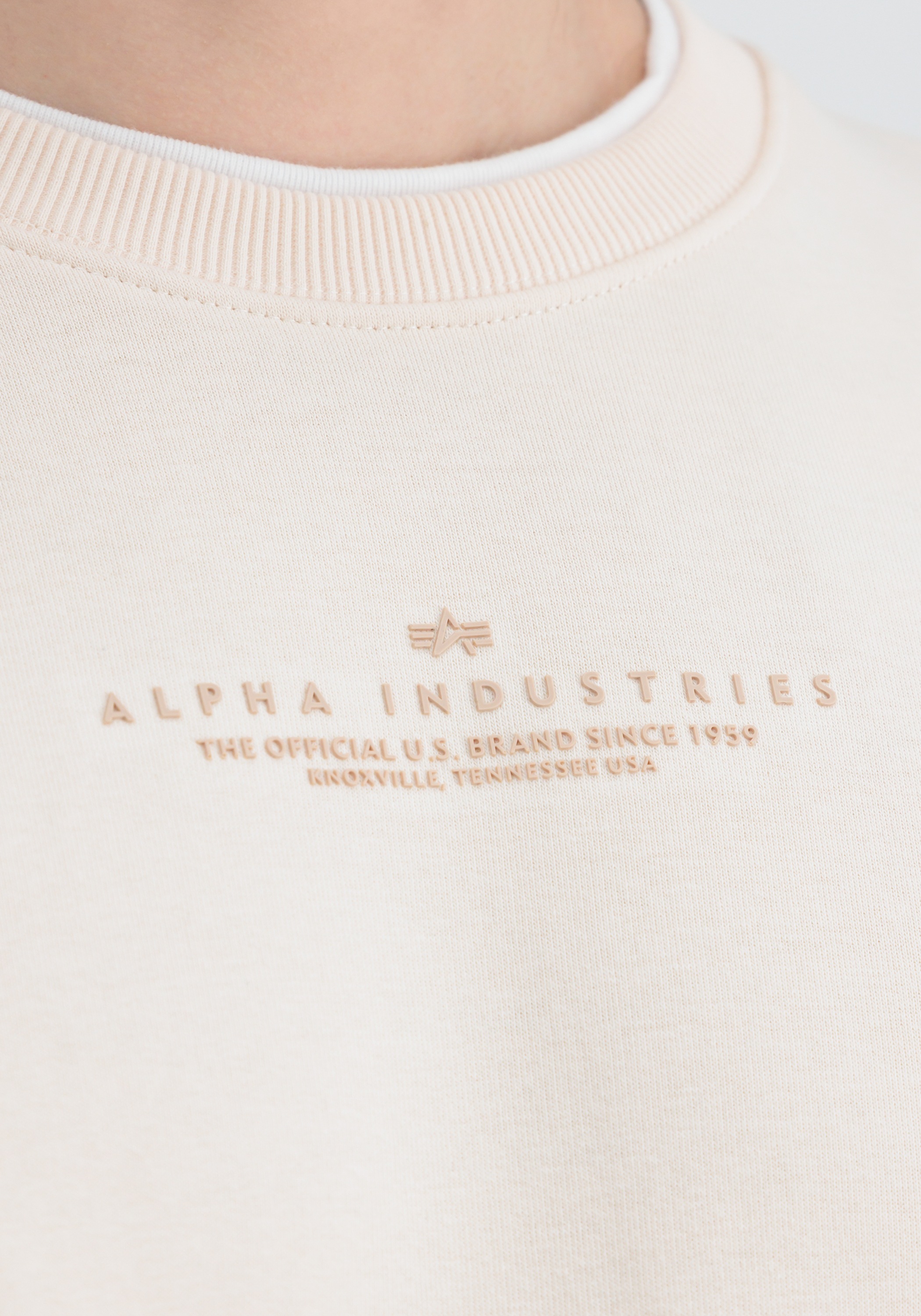 Alpha Industries Sweater »Double Layer Sweatshirt Sweatshirt«