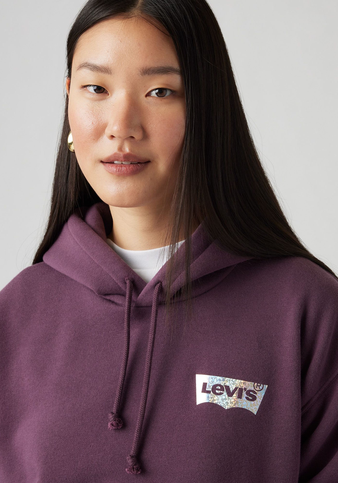 Levi's® Hoodie »GRAPHIC EVERYDAY HOODIE«, mit Kapuze