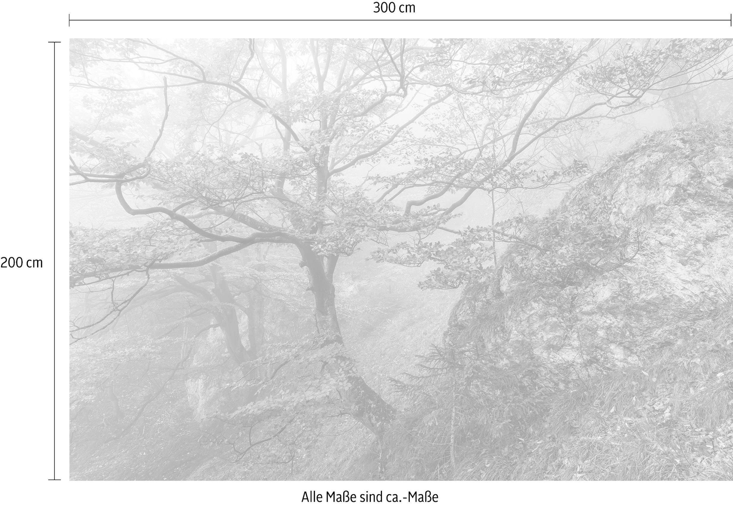 Komar Vliestapete »Digitaldruck Vlies -  Euphoria - Größe 300 x 200 cm« bedruckt glatt Wohnzimmer, Schlafzimmer