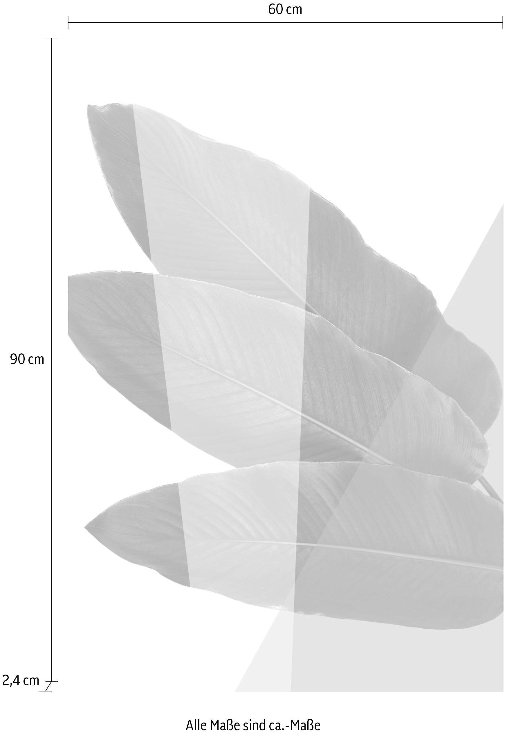 queence Acrylglasbild »Blätter« Blätter | Blätterbilder | Kunst | Pflanzen | Pflanzenbilder Fine Art-Print in Galeriequalität