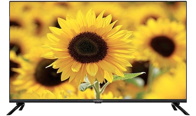 LED-Fernseher »SRT40FD5553«, 100 cm/40 Zoll, Full HD, Smart-TV