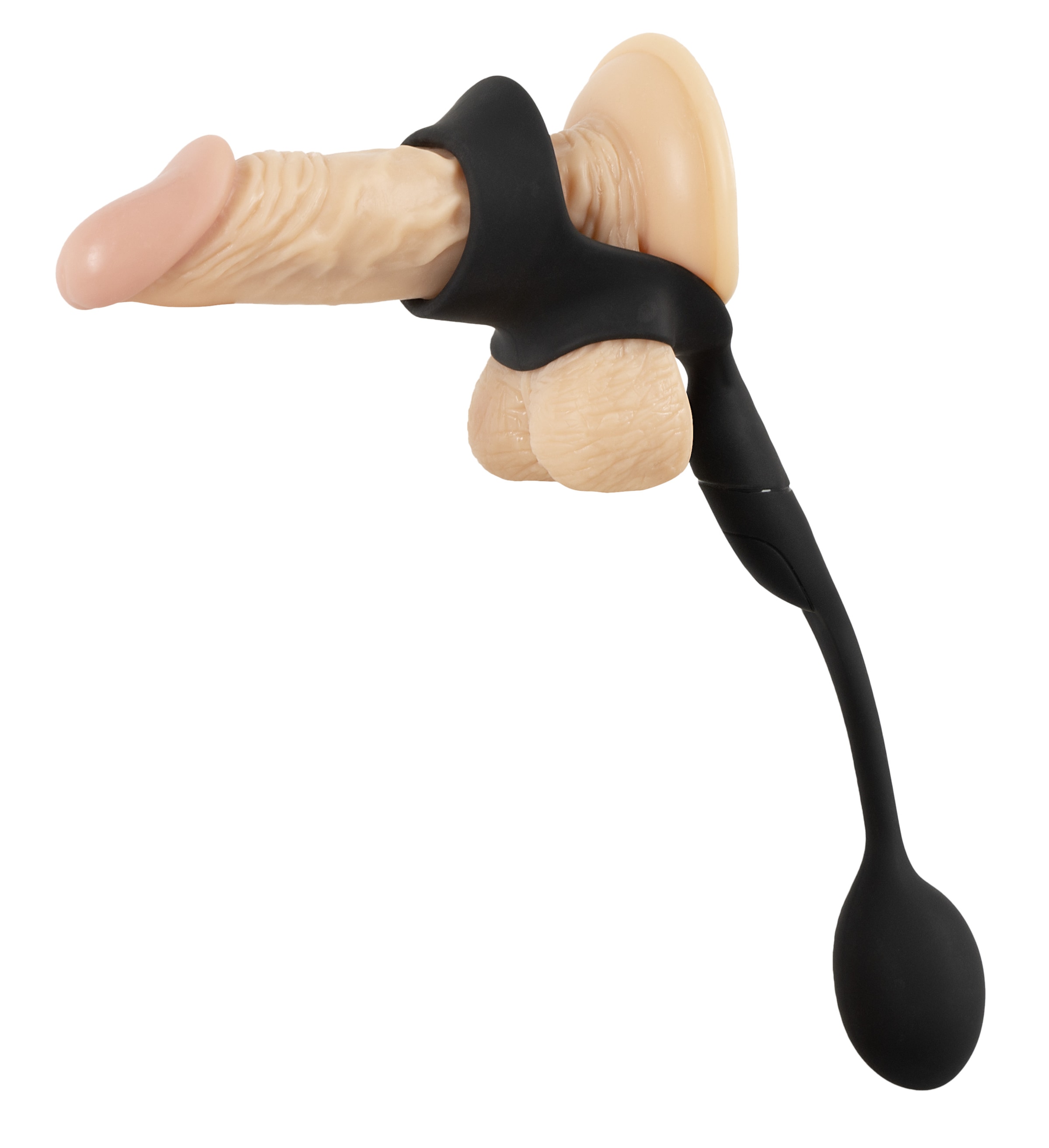 REBEL Anal-Stimulator »Analplug mit Hoden-/Penisring Cock Ring with RC Butt Plug« ()