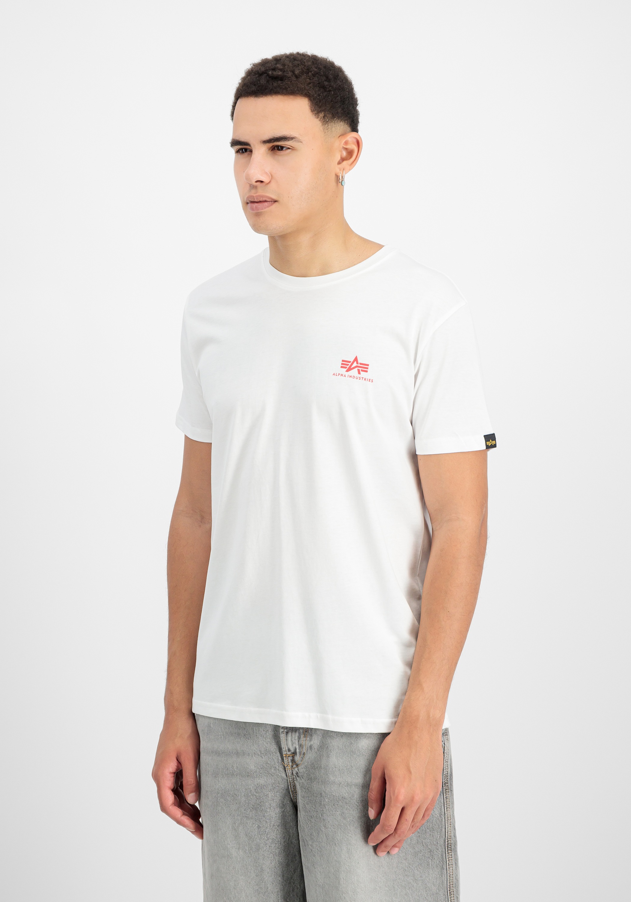 Alpha Industries T-Shirt »Backprint T-Shirt T-Shirt«