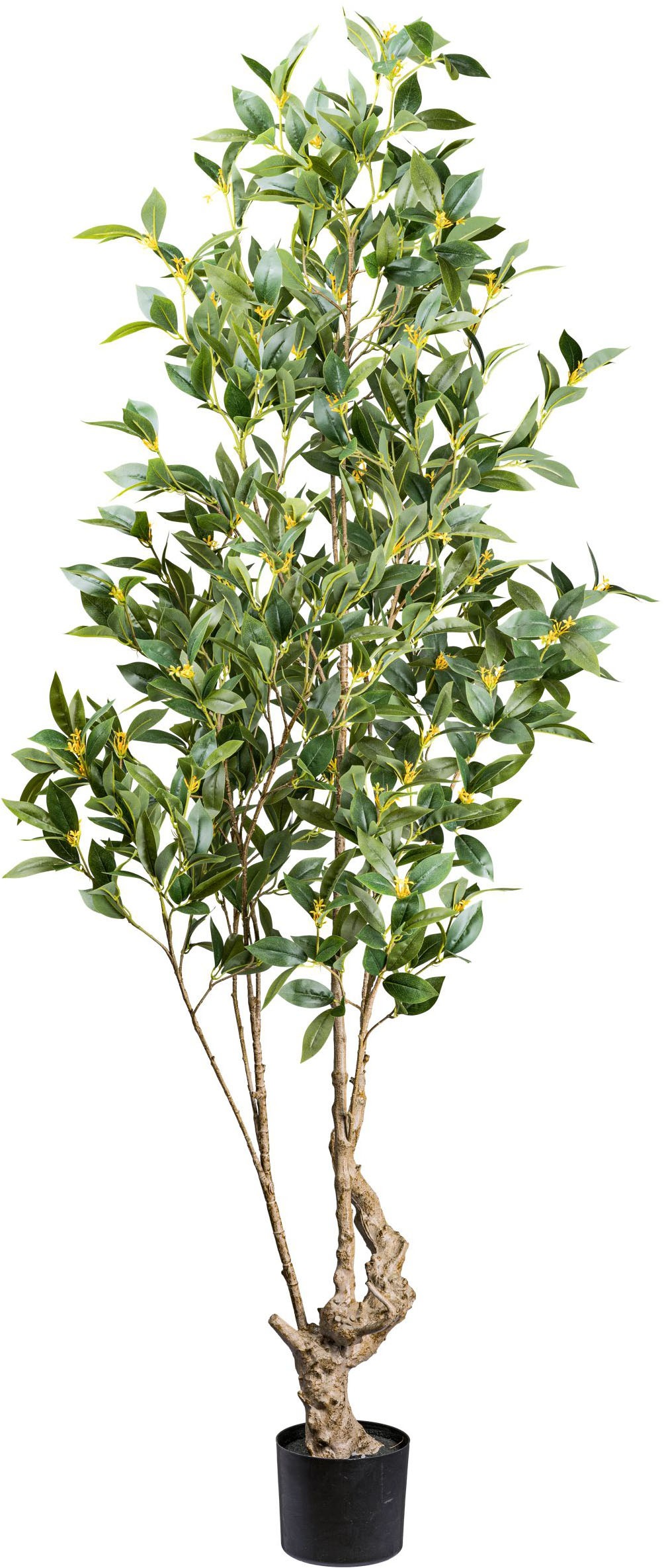 Creativ Green Kunstbaum »Laurus nobilis« in toller Größe in grün, Größe B/H/L: 195 cm