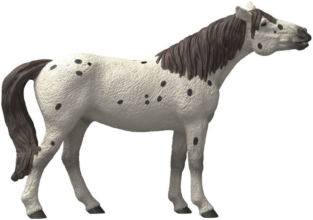 Schleich® Spielfigur »HORSE CLUB, Knabstrupper Wallach (14916)«