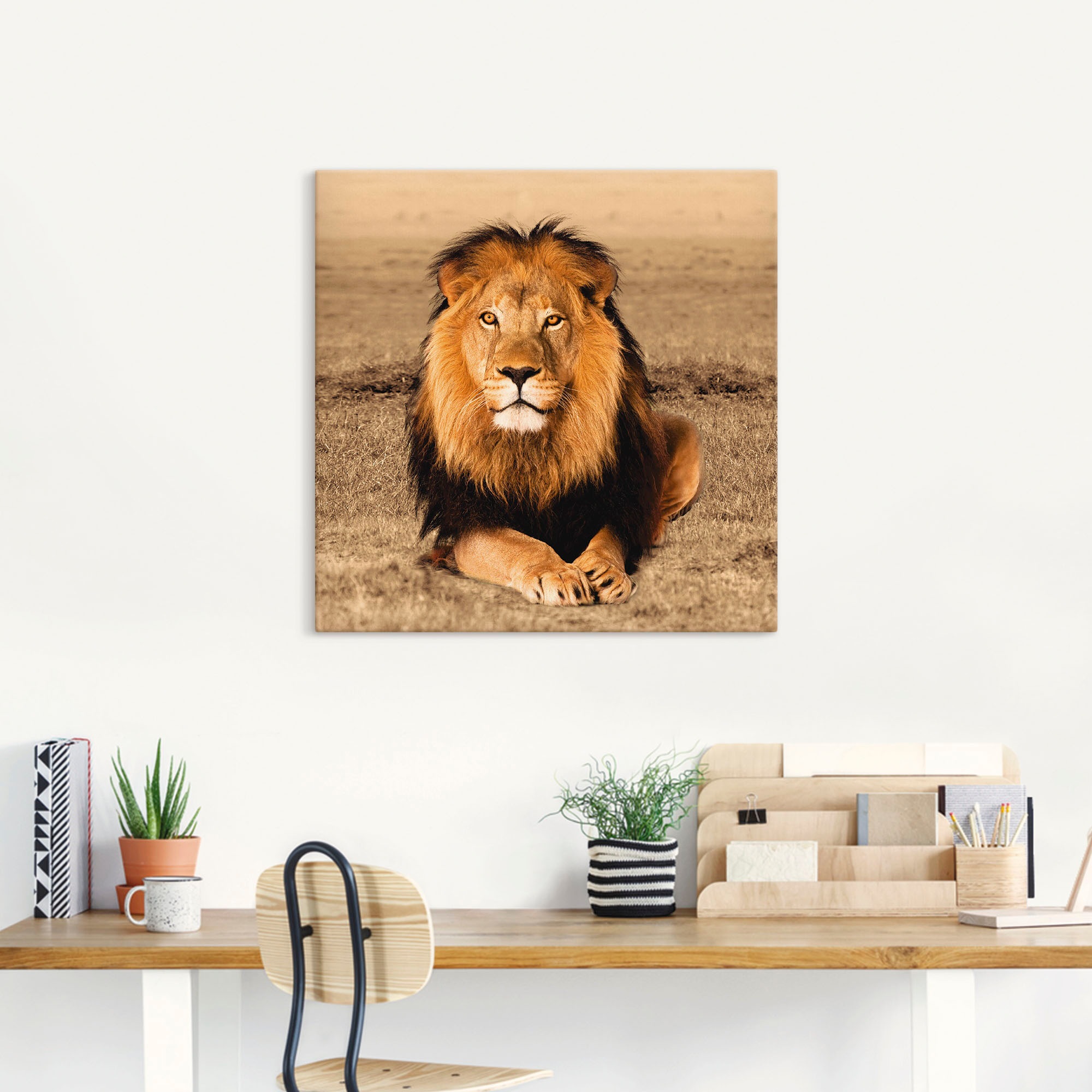 Artland Wandbild »Löwe«, Wildtiere, (1 St.), als Alubild, Outdoorbild, Leinwandbild, Poster, Wandaufkleber