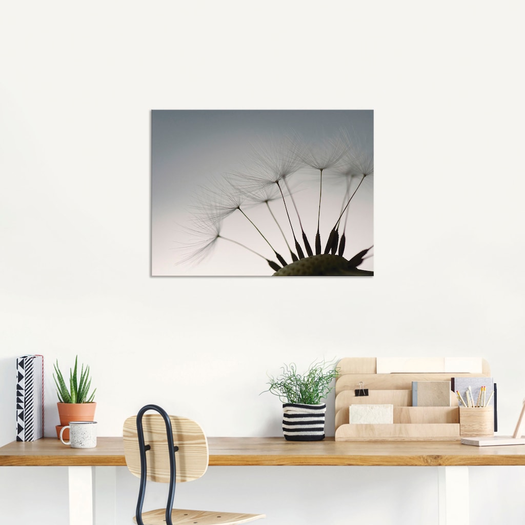 Artland Wandbild »Pusteblumen-Samen I«, Blumen, (1 St.)