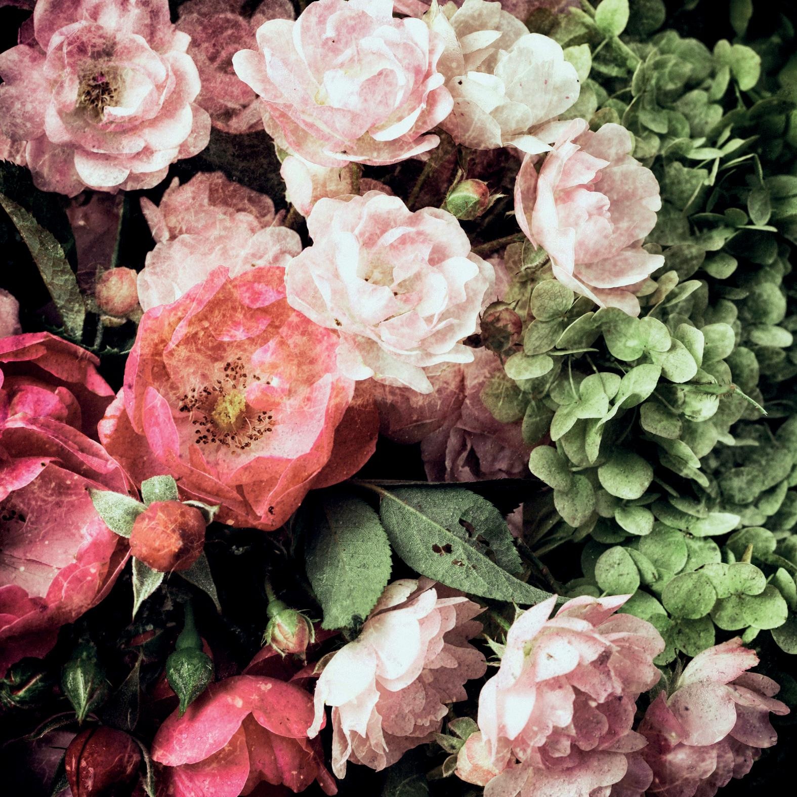 queence Dekokissen »Blüten«, Kissenhülle ohne Füllung, 1 Stück