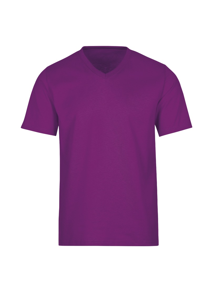 Trigema T-Shirt »TRIGEMA V-Shirt DELUXE Baumwolle«, (1 tlg.)
