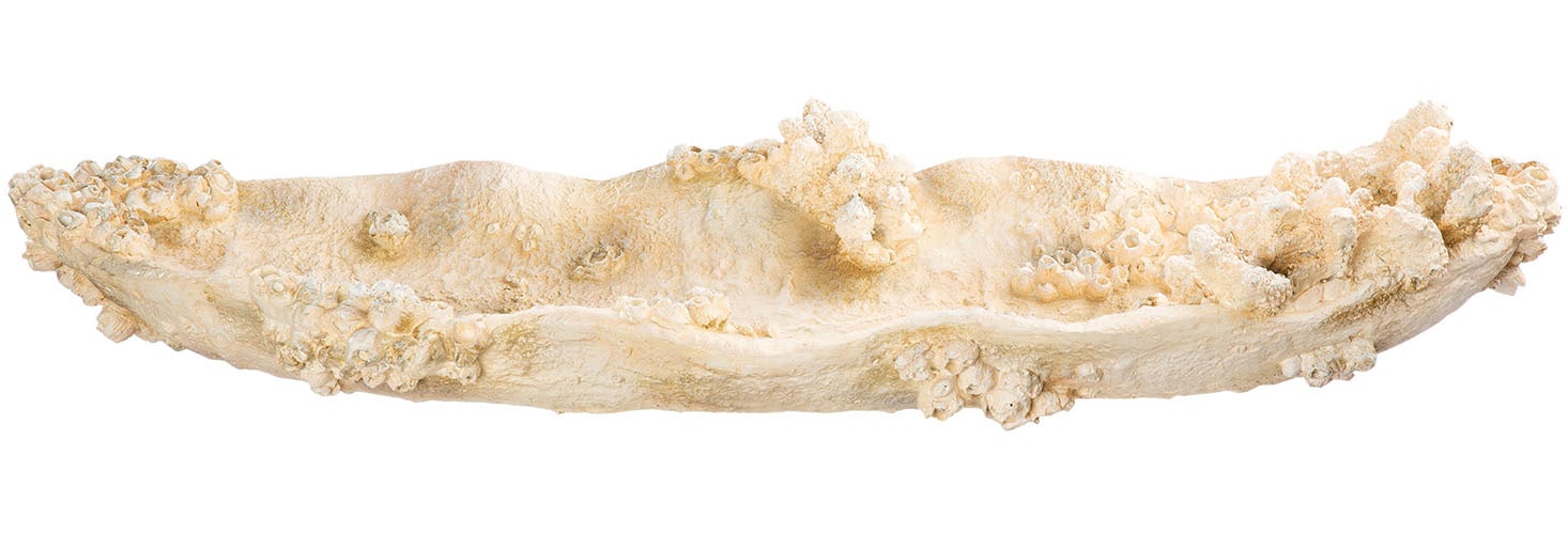 GILDE Dekoschale »Schale Amphora Seychelles weiß H. 10,5 cm«