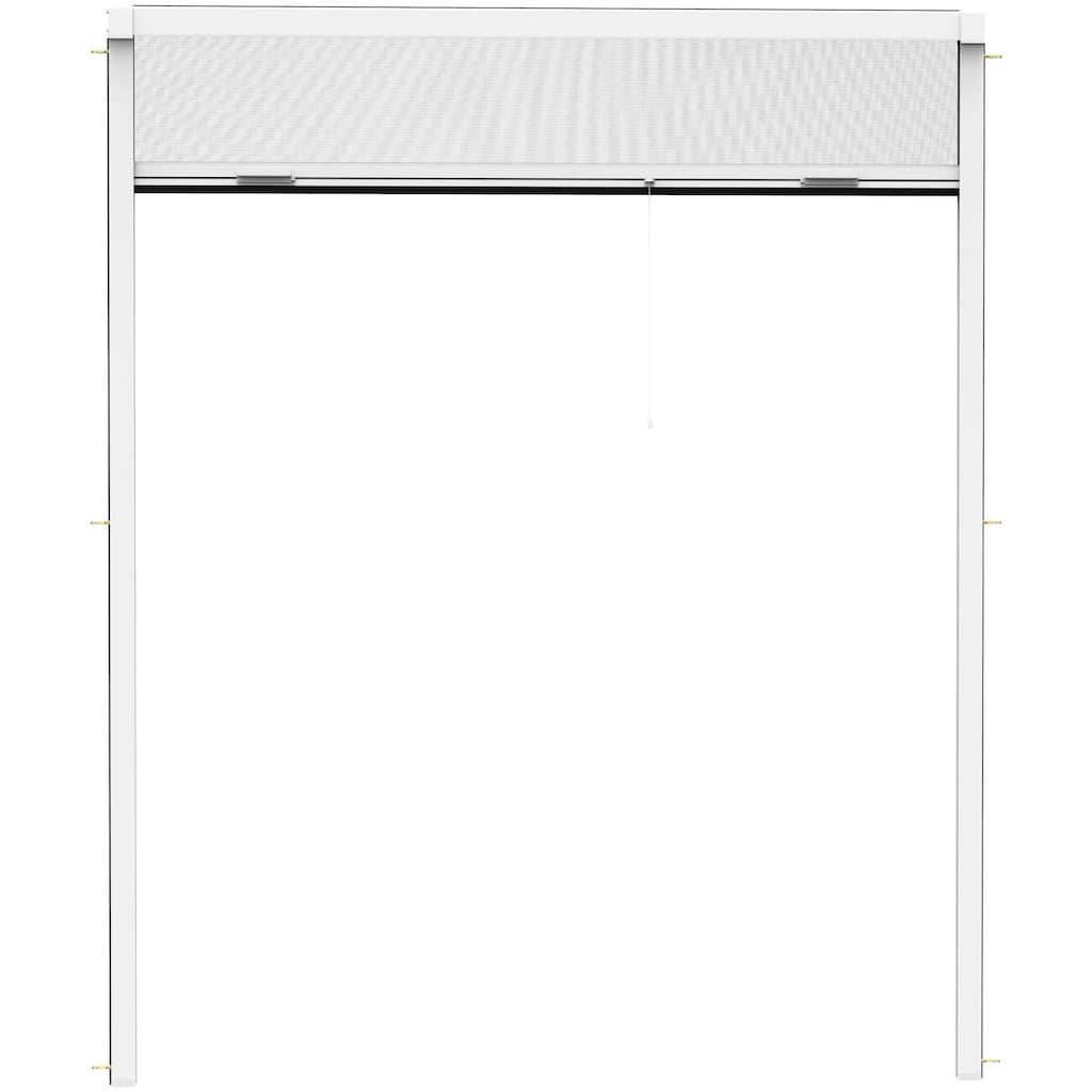 hecht international Insektenschutzrollo »SMART«, transparent, für Fenster, weiß/anthrazit, BxH: 100x160 cm