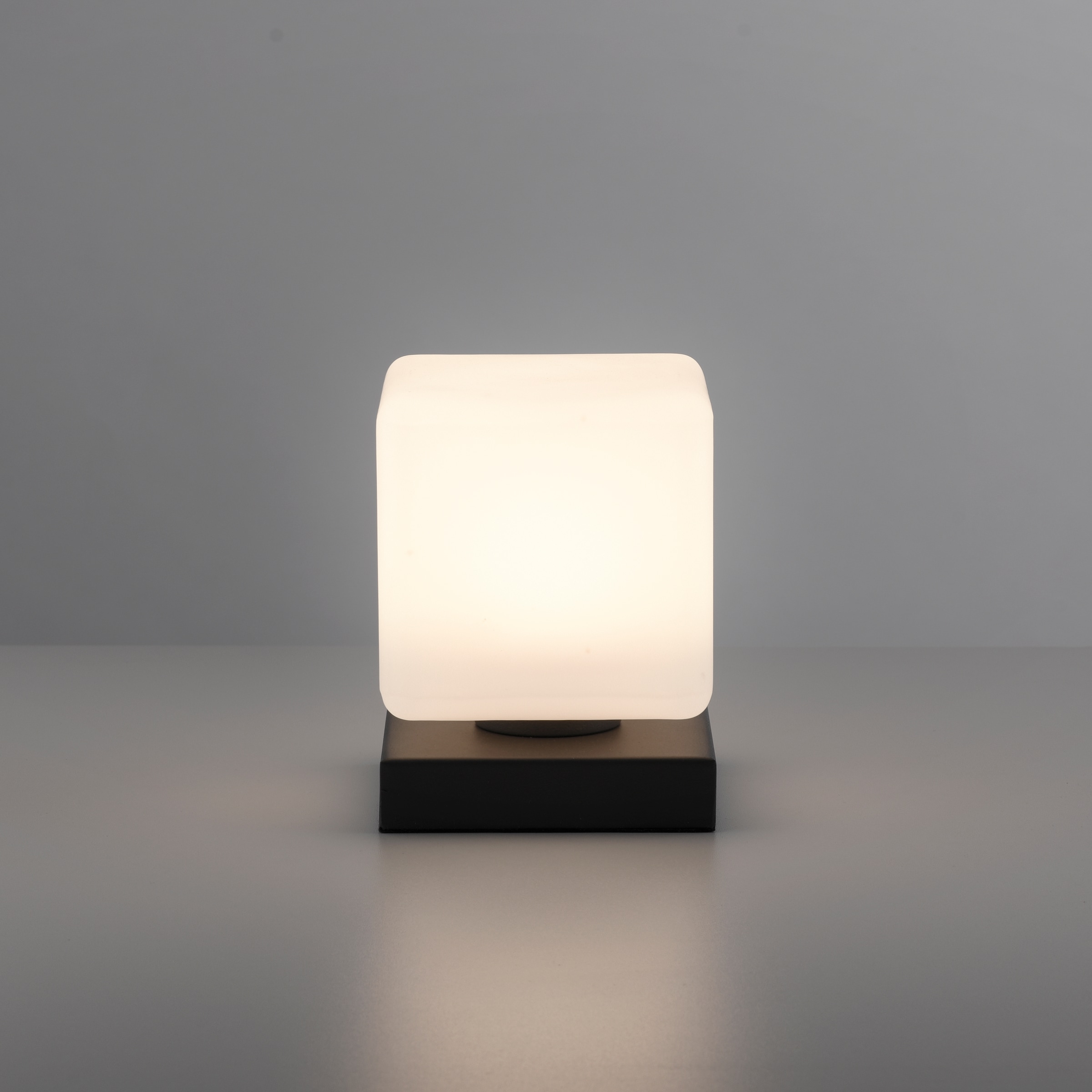 Paul Neuhaus Tischleuchte »DADOA«, 1 flammig, Leuchtmittel LED-Board | LED fest integriert, LED, dimmbar über Touchdimmer