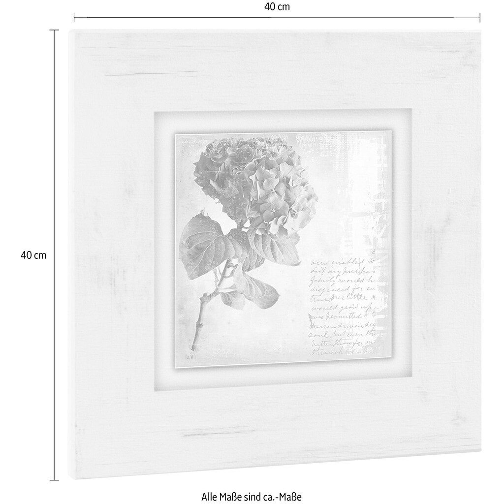 Home affaire Holzbild »Lila Blume«, 40/40 cm