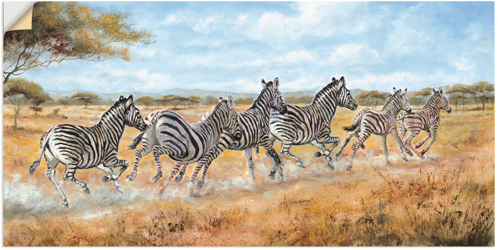 Artland Wandbild »Laufende Zebras«, Wildtiere, (1 St.), in vielen Größen & Produktarten - Alubild / Outdoorbild für den Außenbereich, Leinwandbild, Poster, Wandaufkleber / Wandtattoo auch für Badezimmer geeignet