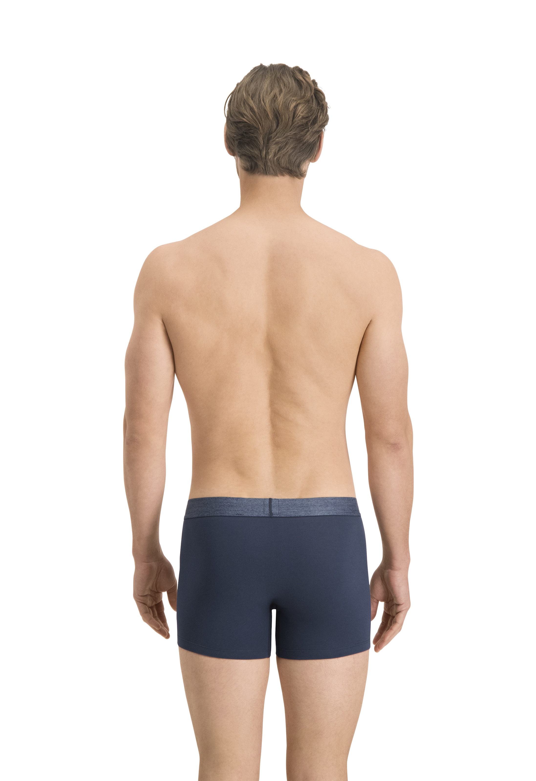 Levi's® Boxershorts »LEVIS MEN MEL WB BOXER BRIEF ORG CO 2P«, (2er Pack), mit breitem Logobund