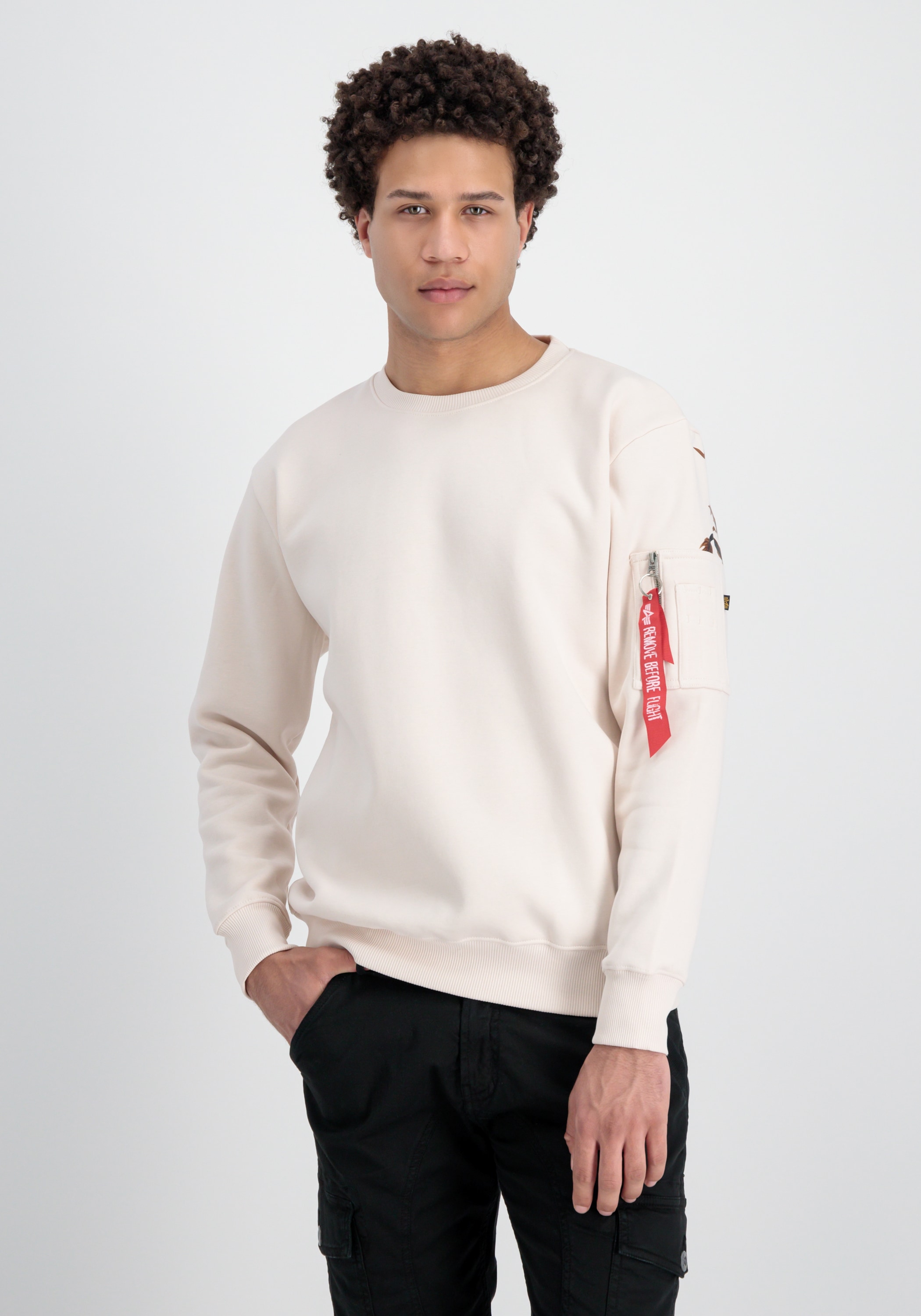 Alpha Industries Sweater »Alpha Industries Men - Sweatshirts Dragon EMB Sweater«