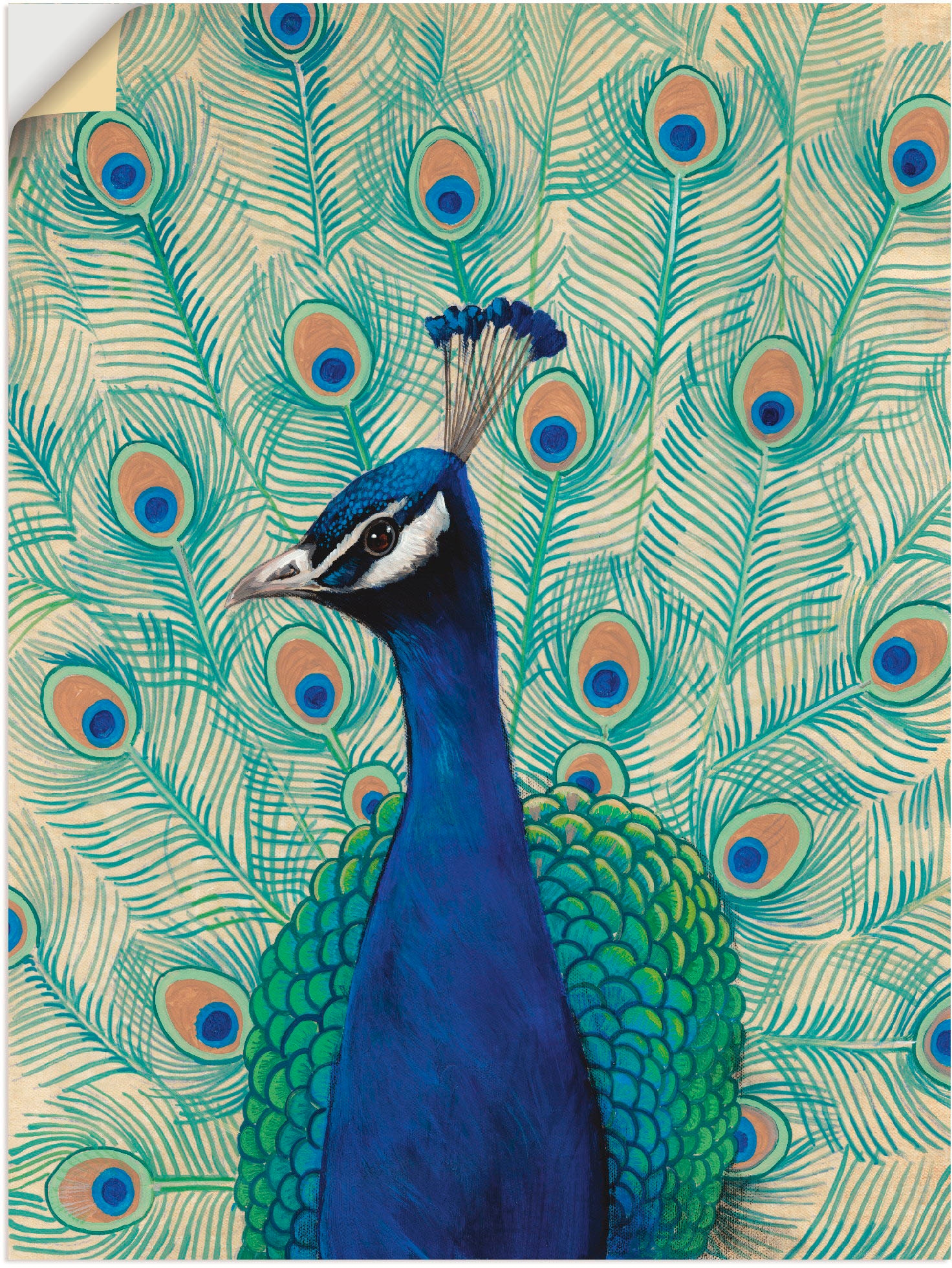 Wandfolie »Blauer Pfau II«, Vögel, (1 St.), selbstklebend