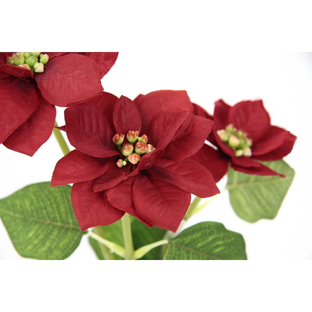 I.GE.A. Kunstblume »Poinsettie«