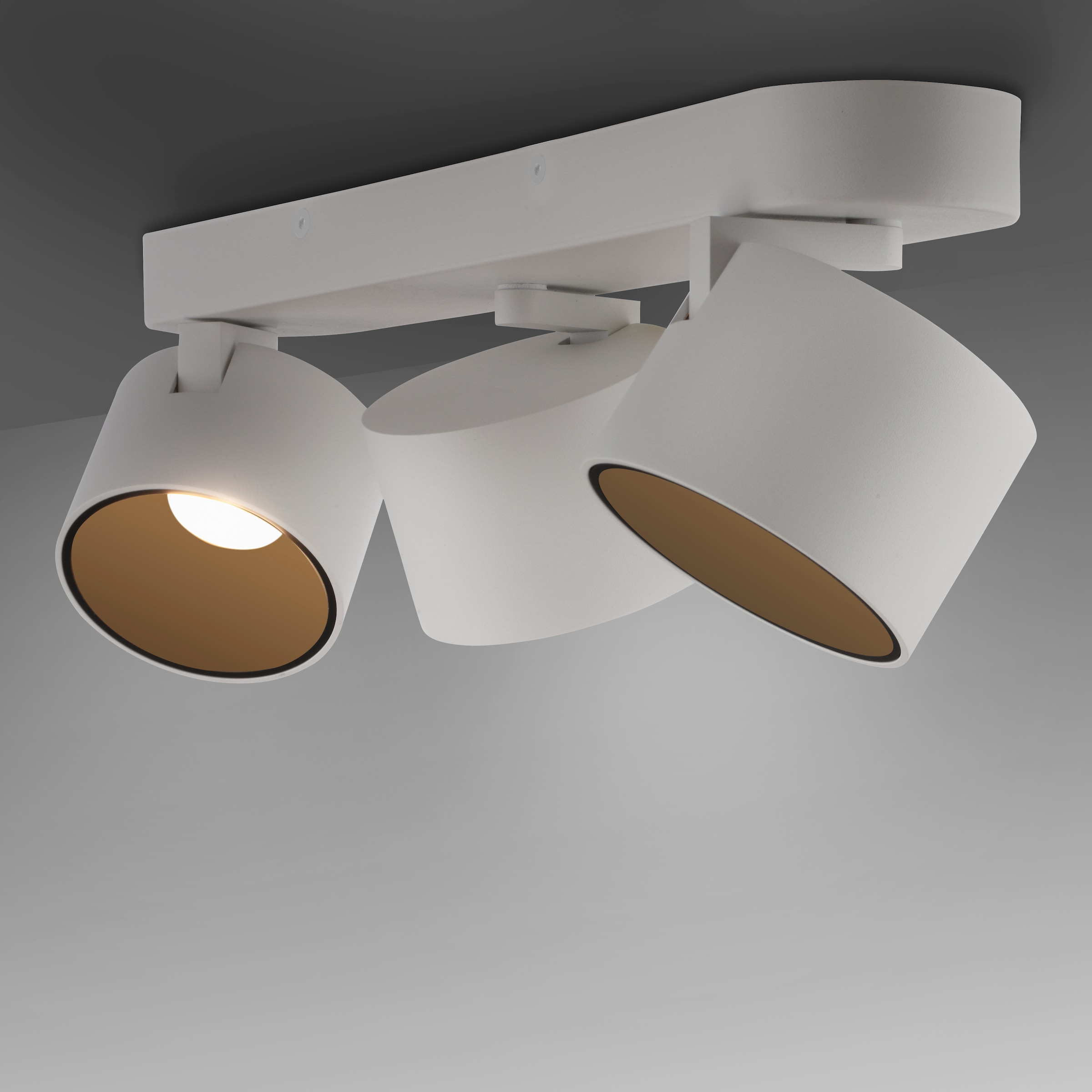 Neuhaus PURE LED Deckenleuchte »PURE Cup« LED-Board 1 Stk. Warmweiß Dimmfähig über separaten Tronicdimmer, dreh- & schwenkbar