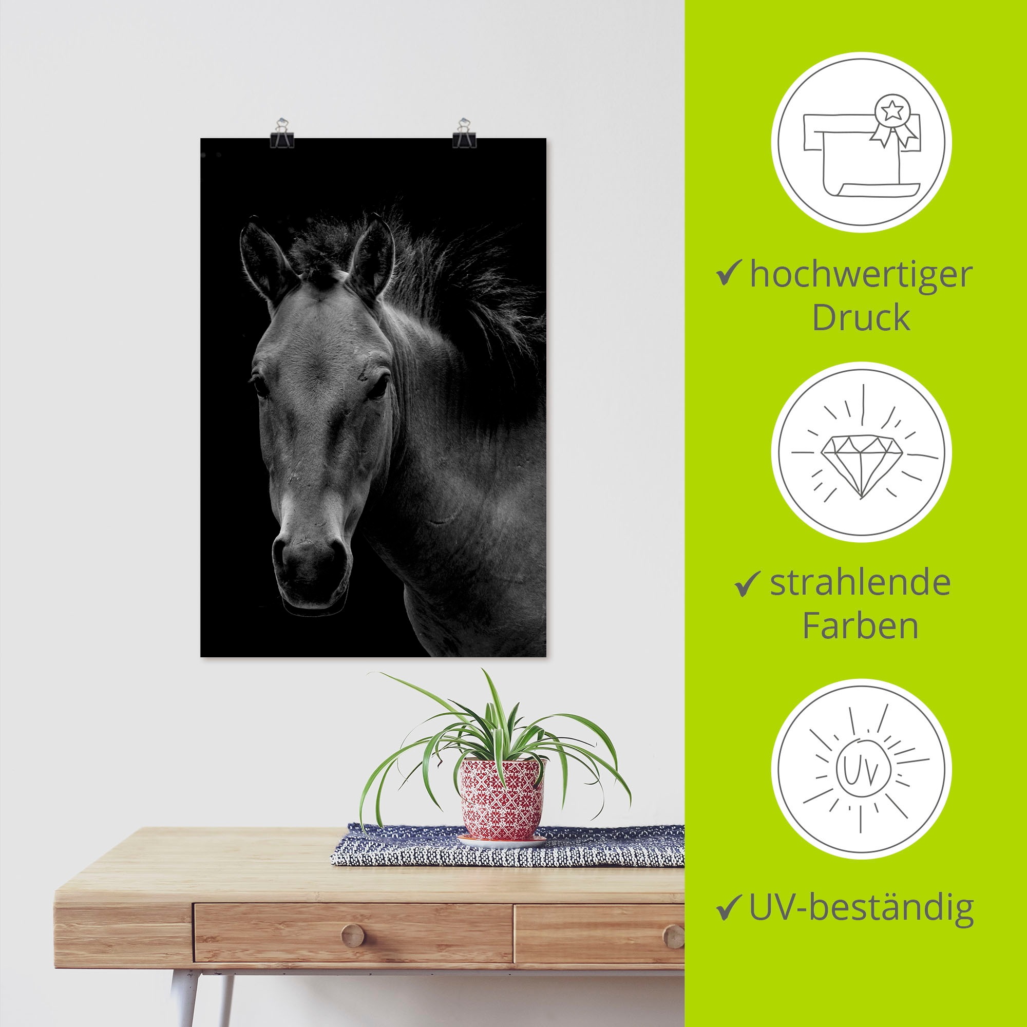 Artland Poster »Wildpferd«, Pferdebilder, (1 St.), als Alubild, Leinwandbild, Wandaufkleber oder Poster in versch. Größen