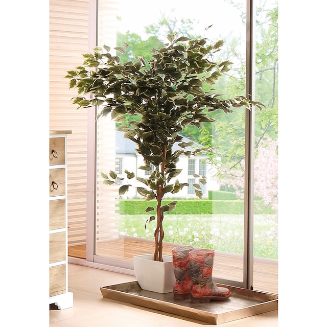 Creativ green Kunstpflanze »Ficus Benjamini«, (1 St.) im OTTO Online Shop