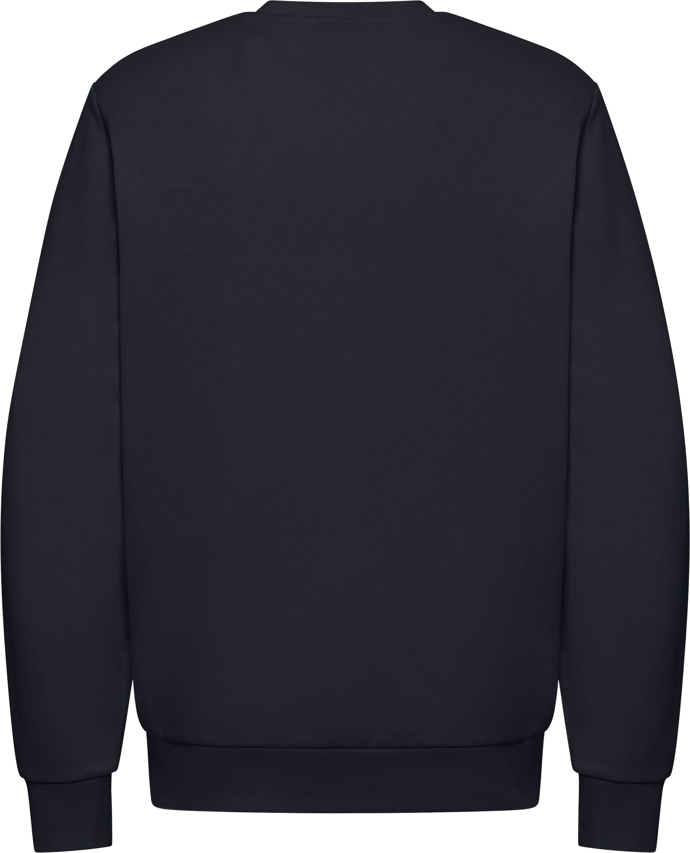 Jack Wolfskin Langarmshirt »ESSENTIAL CREWNECK M«