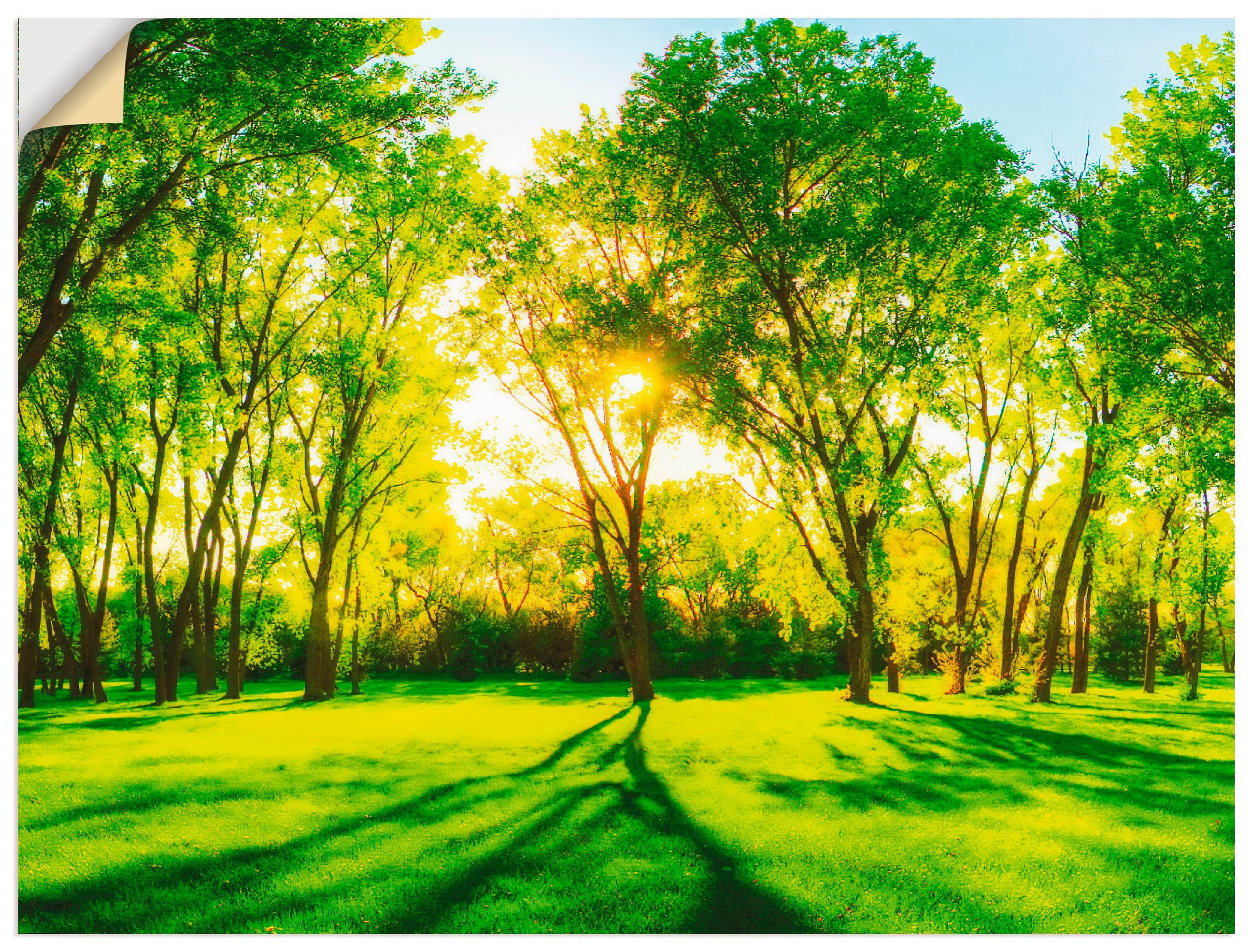 Artland Wandbild »Frühlingswärme II«, Wiesen & Bäume, (1 St.), in vielen Größen & Produktarten - Alubild / Outdoorbild für den Außenbereich, Leinwandbild, Poster, Wandaufkleber / Wandtattoo auch für Badezimmer geeignet
