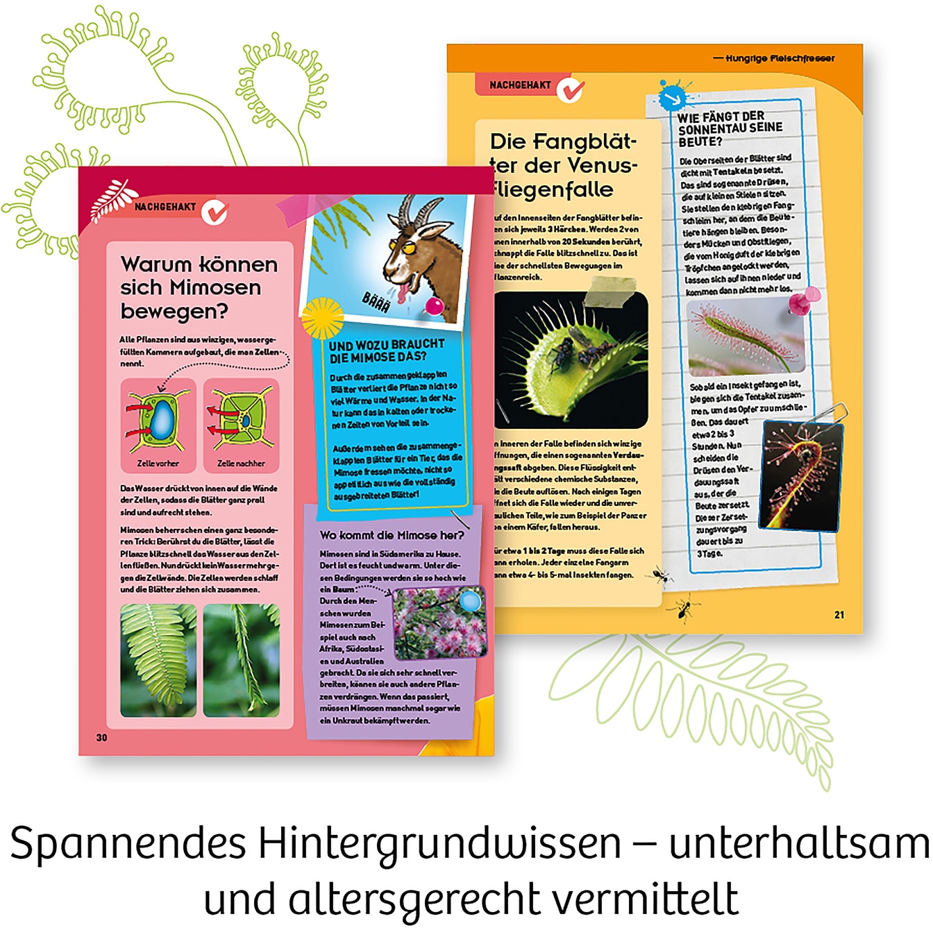 Kosmos Experimentierkasten »Fleischfressende Pflanzen«, Made in Germany