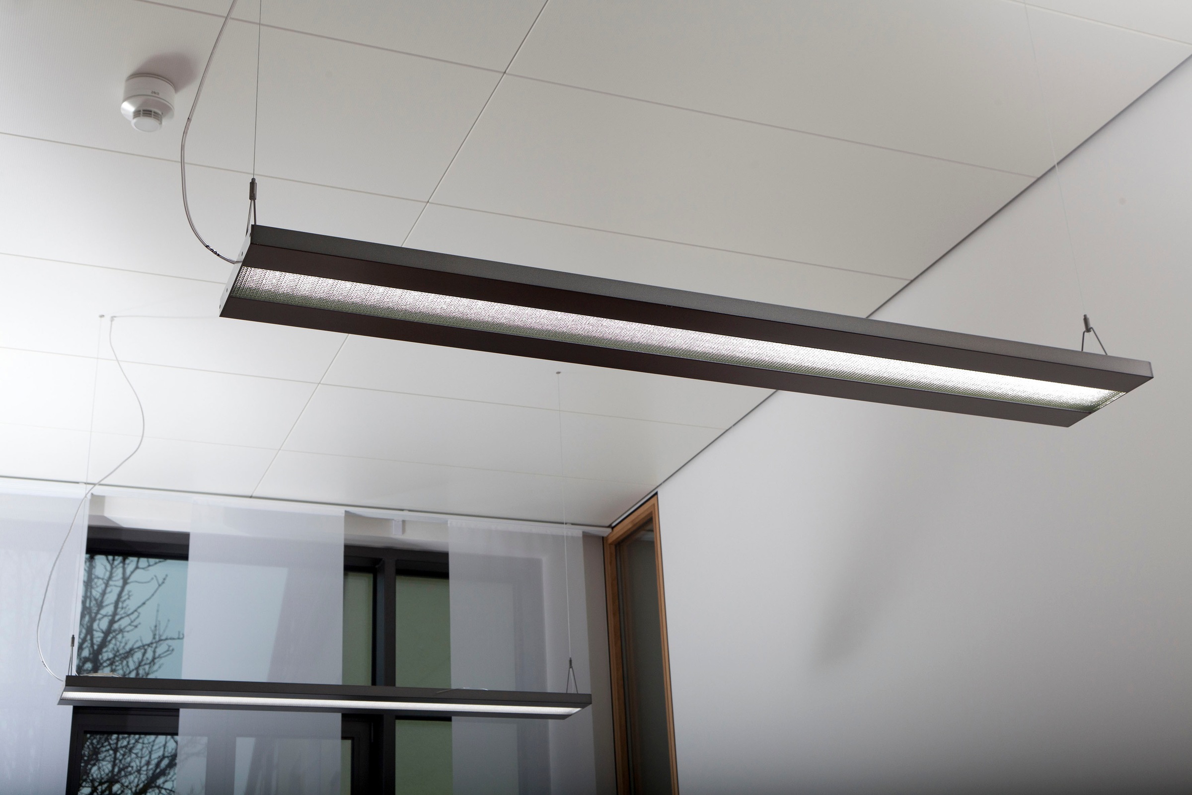 näve LED Pendelleuchte »Bennet«, 1 flammig, Büro/Arbeitszimmer silber Lichtfarbe kaltweiß L: 80cm B: 30cm