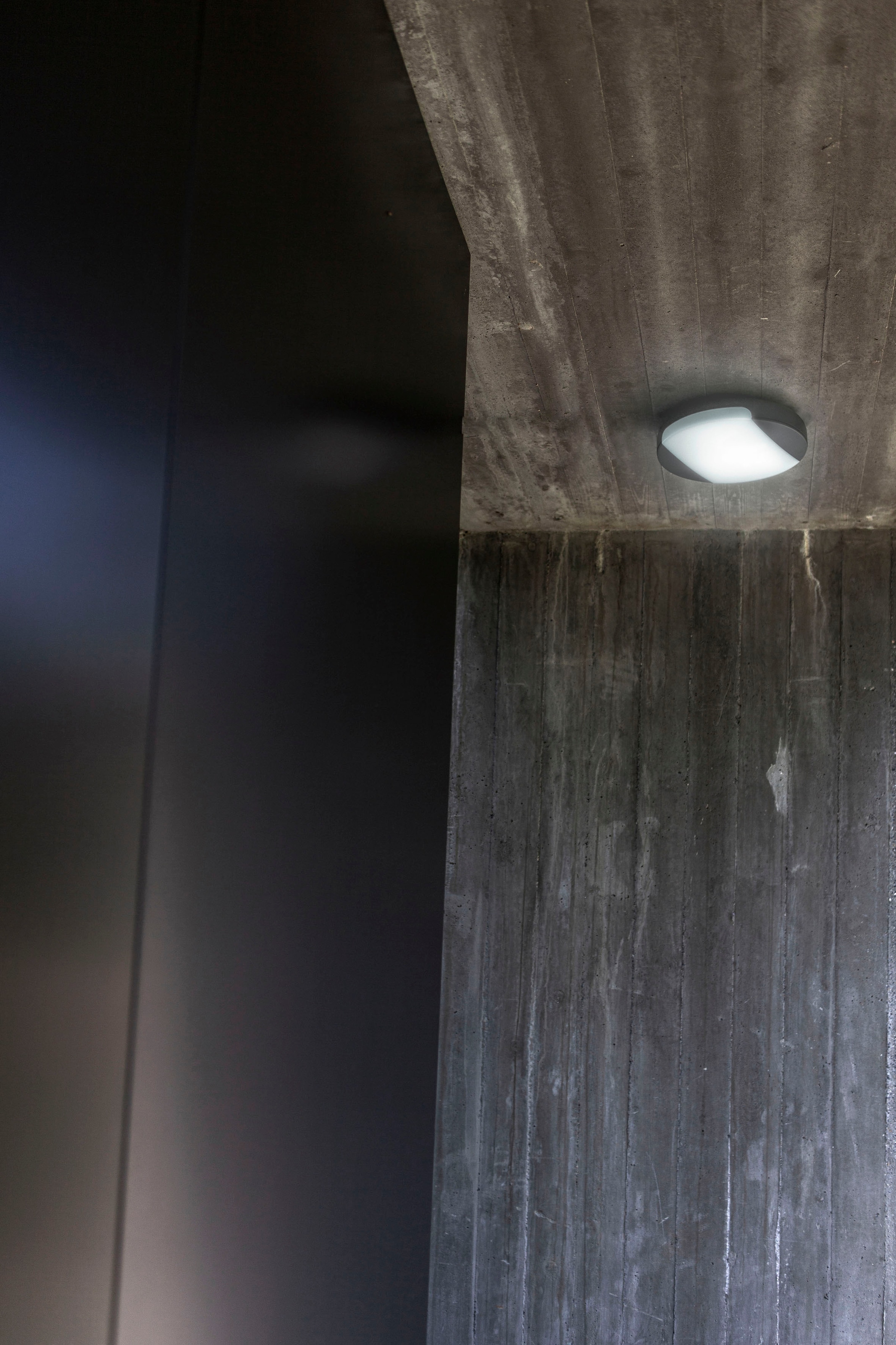 LUTEC LED Außen-Deckenleuchte »SWEEP«, Leuchtmittel LED-Modul | LED fest integriert, Kelvinschalter,Lichtfarbe einstellbar