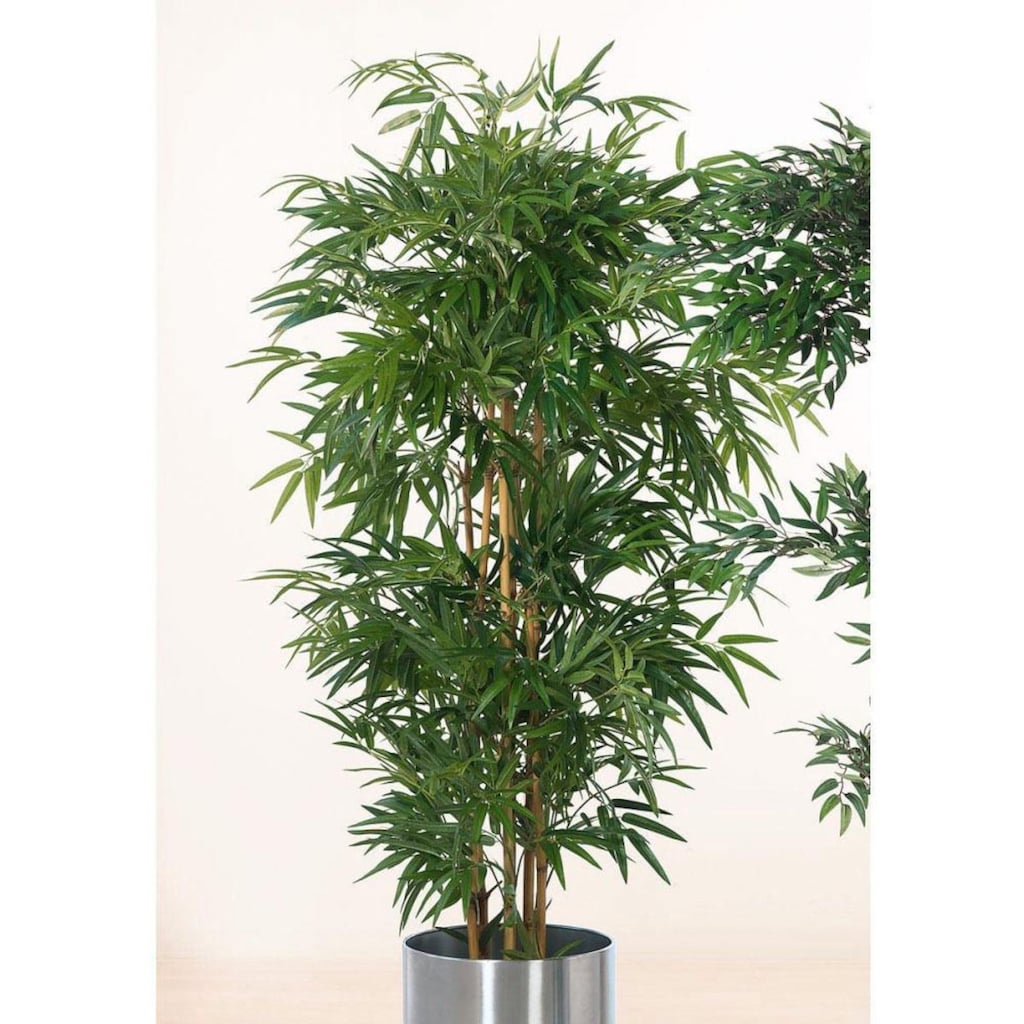 Schneider Kunstpflanze »Bambusbaum«