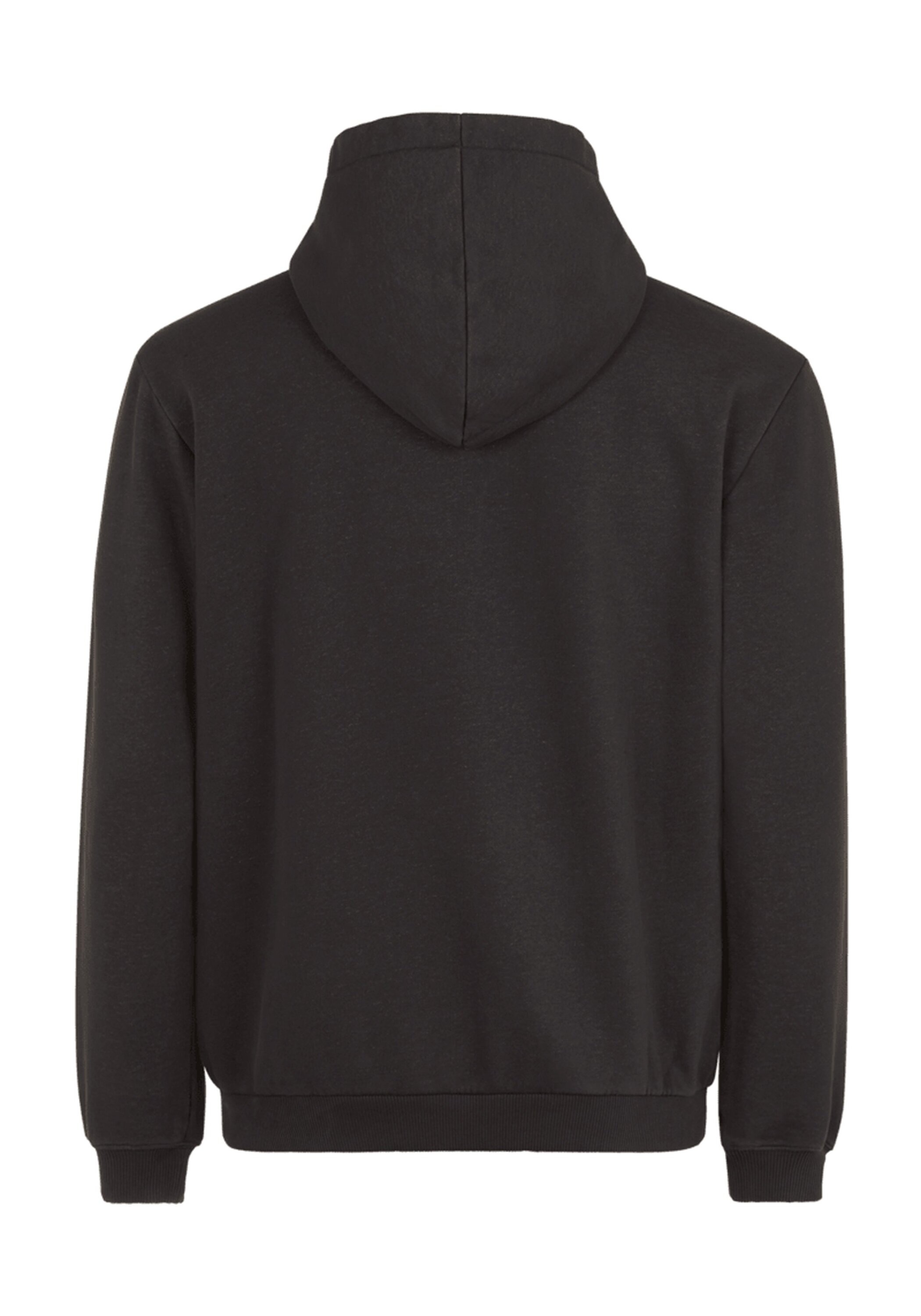 Fila Sweatshirt »Sweatshirt BISCHKEK hoody«