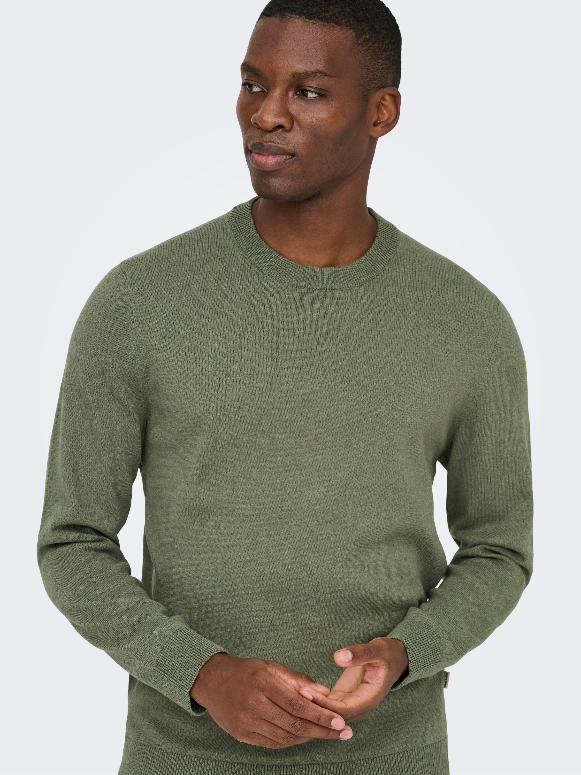 ONLY & SONS Rundhalspullover »ONSREX LIFE REG 12 CREW KNIT«