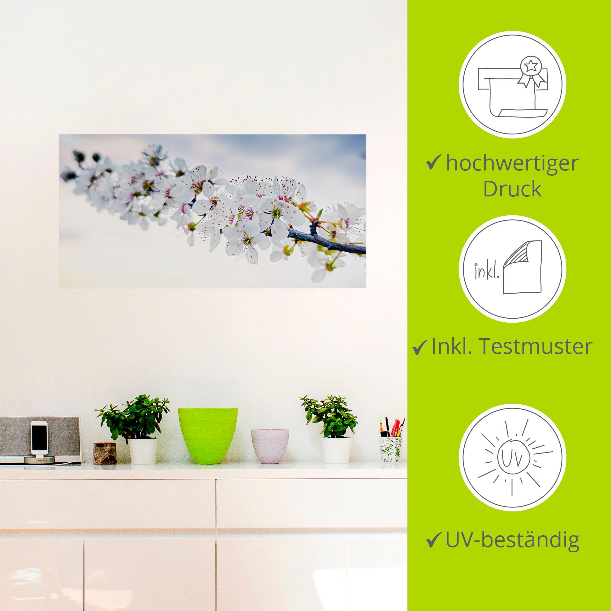 Artland Alu-Dibond-Druck »weißer Kirschblüten Zweig«, Baumbilder, (1 St.), für Innen- und Außenbereich geeignet, Outdoorbild