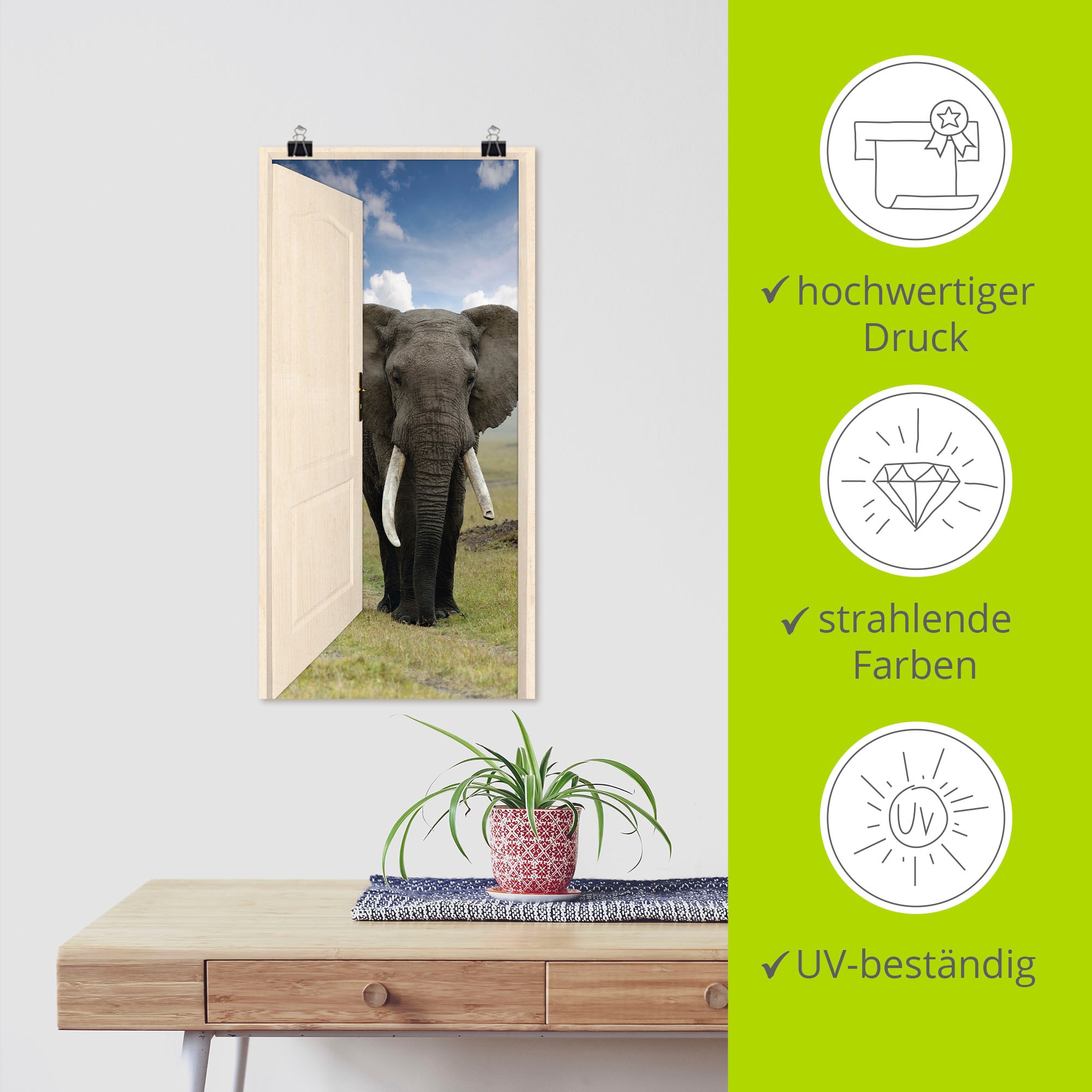 Artland Wandbild »Offene weiße Türe mit Blick auf Elefant«, Wildtiere, (1 St.), als Leinwandbild, Poster, Wandaufkleber in verschied. Größen
