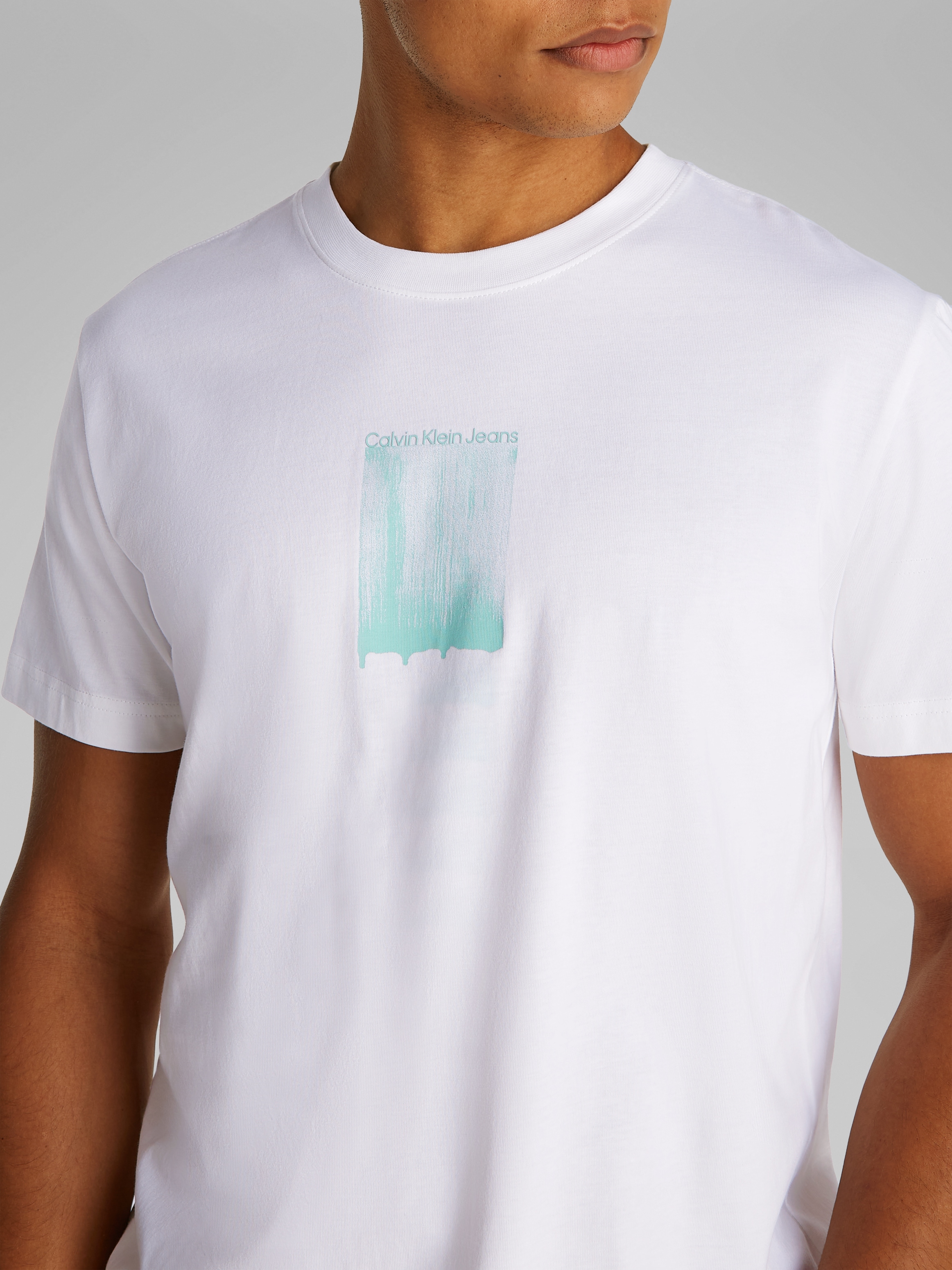 Calvin Klein Jeans T-Shirt »BRUSH STROKE GRAPHIC TEE«, mit Logodruck