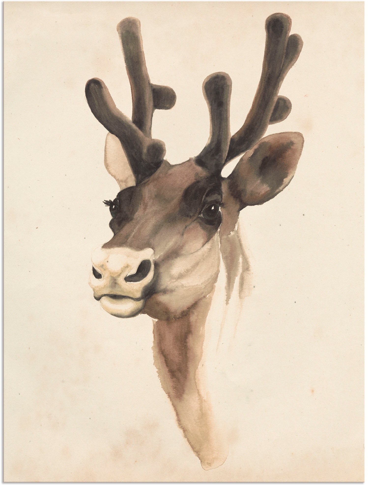 Artland Wandbild »Wasserfarben Tierlehre III«, Wildtiere, (1 St.), in vielen Größen & Produktarten - Alubild / Outdoorbild für den Außenbereich, Leinwandbild, Poster, Wandaufkleber / Wandtattoo auch für Badezimmer geeignet