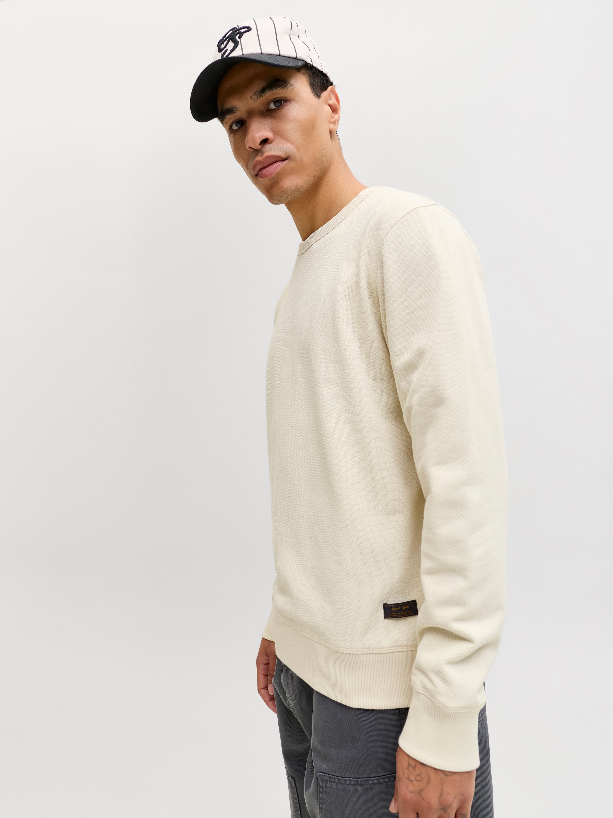 Jack & Jones Sweatshirt »JJEDOVER CLASSIC SWEAT CREW NECK SN«, mit Markenlabel
