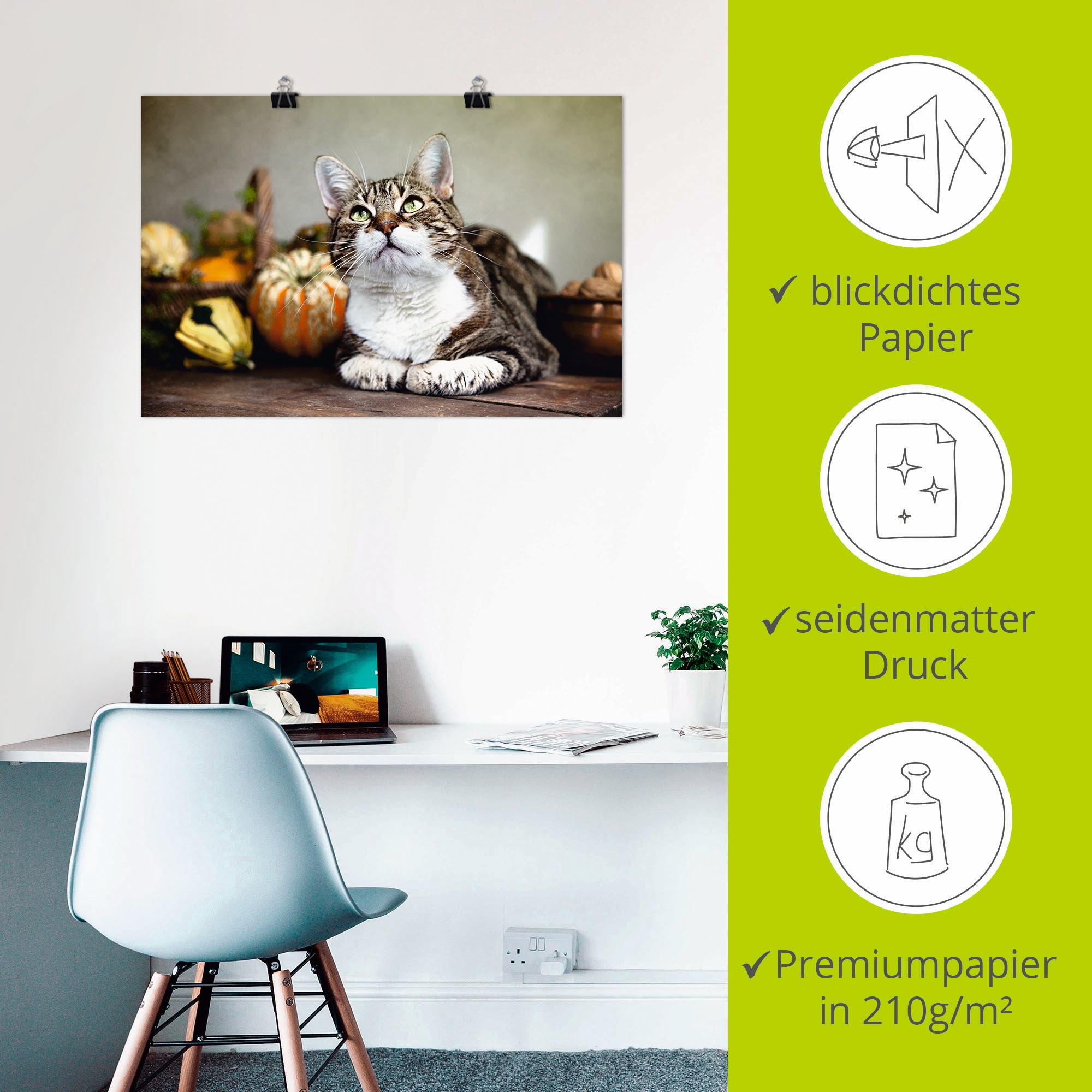 Artland Poster »Katze und Herbstdeko«, Haustiere, (1 St.), als Alubild, Leinwandbild, Wandaufkleber oder Poster in versch. Größen